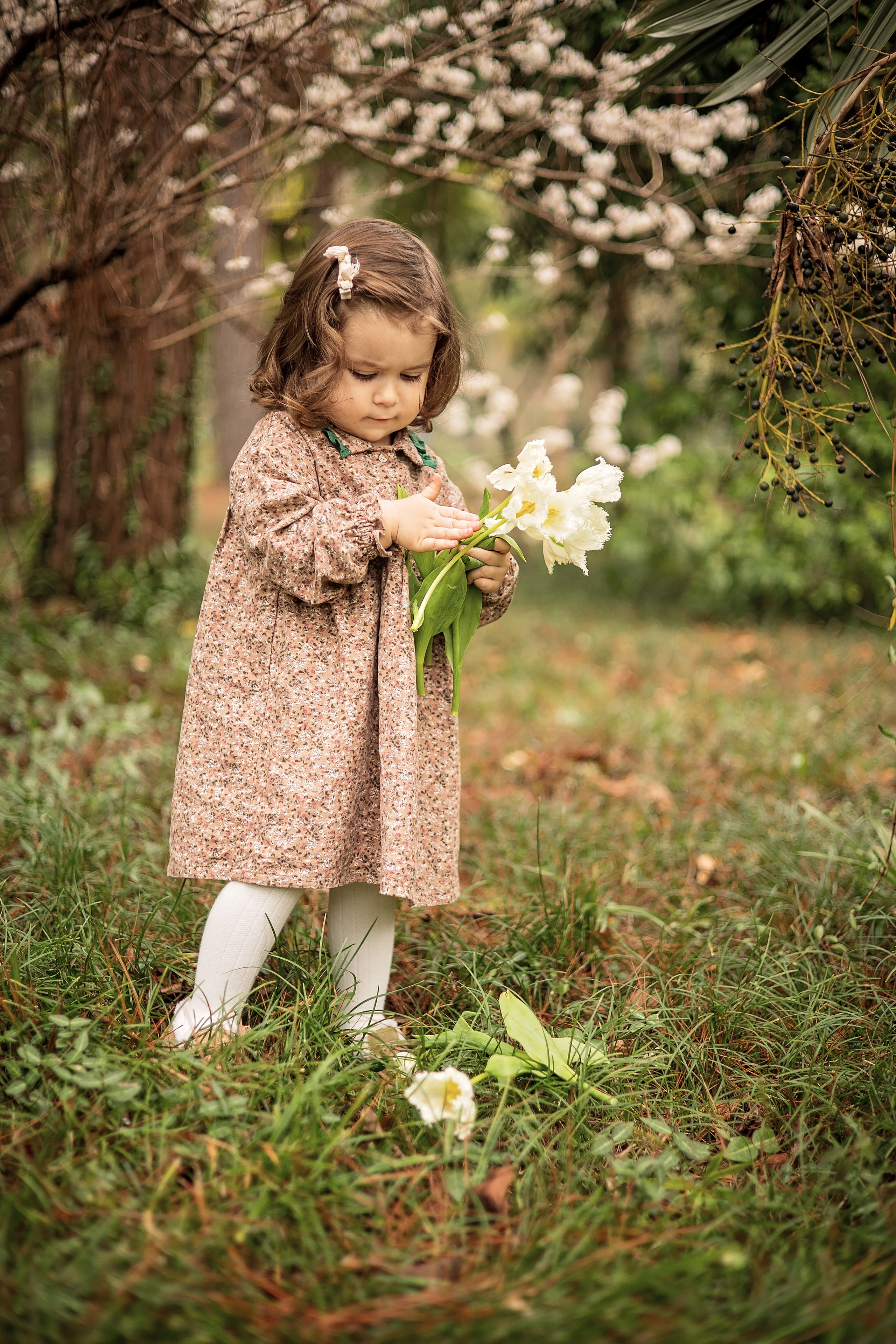 Мире 2 годика. Свадебный и семейный фотограф в Абхазии Эля Цишба