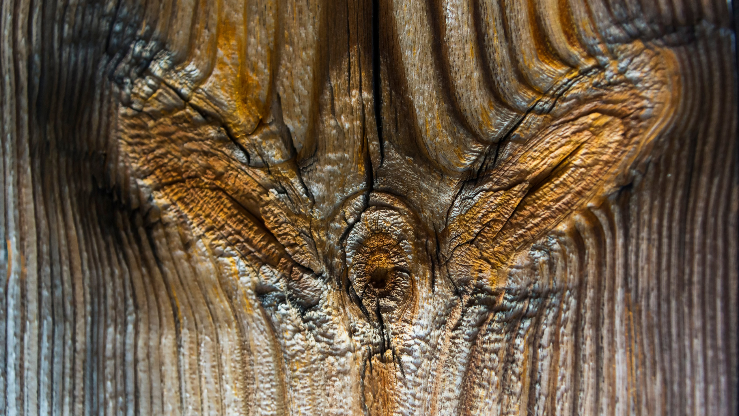 Карелия. Фотограф-путешественник Самойлов Максим «Sly Fox»