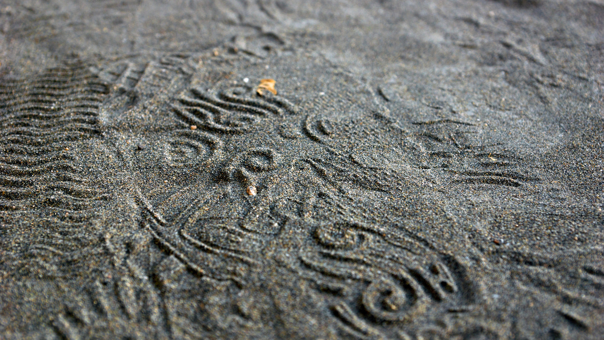 Узбекистан. Фотограф-путешественник Самойлов Максим «Sly Fox»