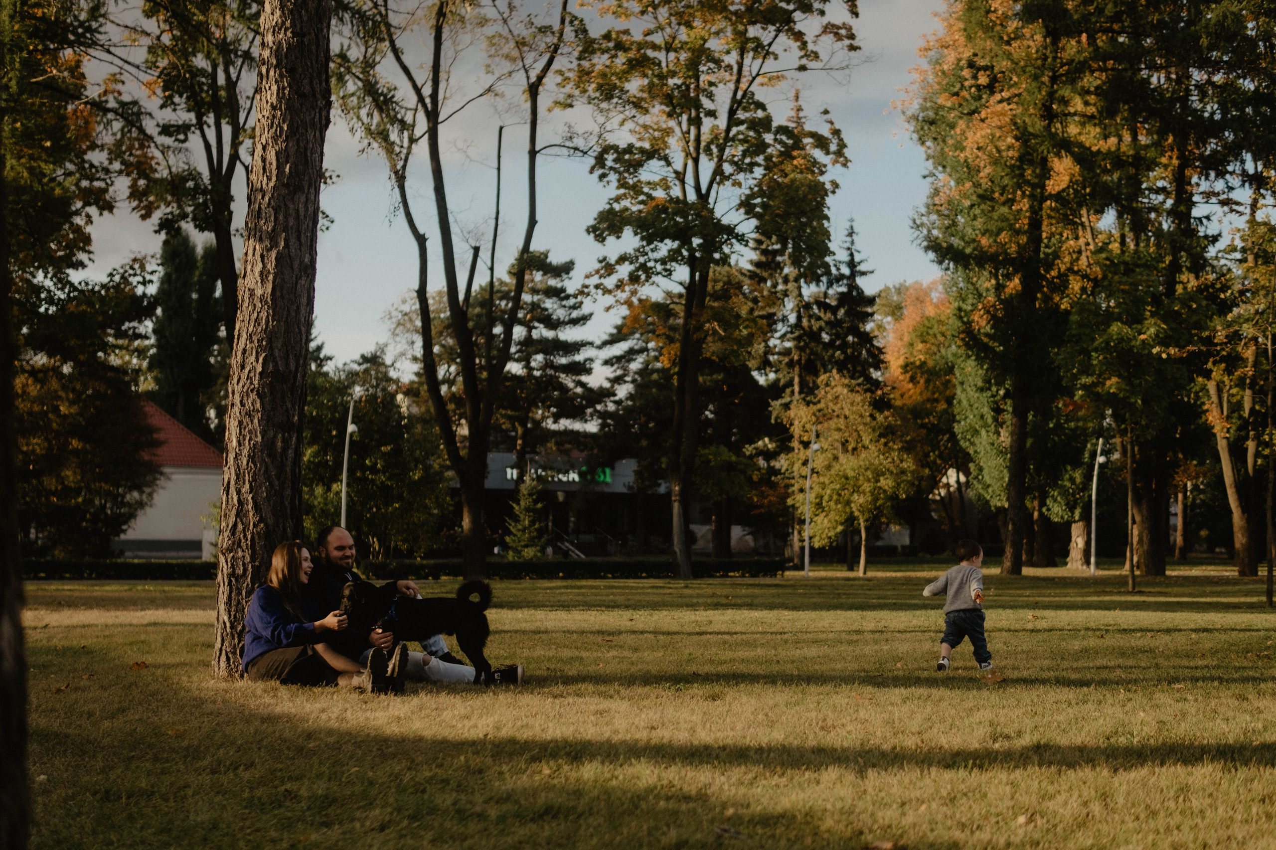 Ксюня, Ваня, Марк и 🐶. Свадебный фотограф Оля Григунова