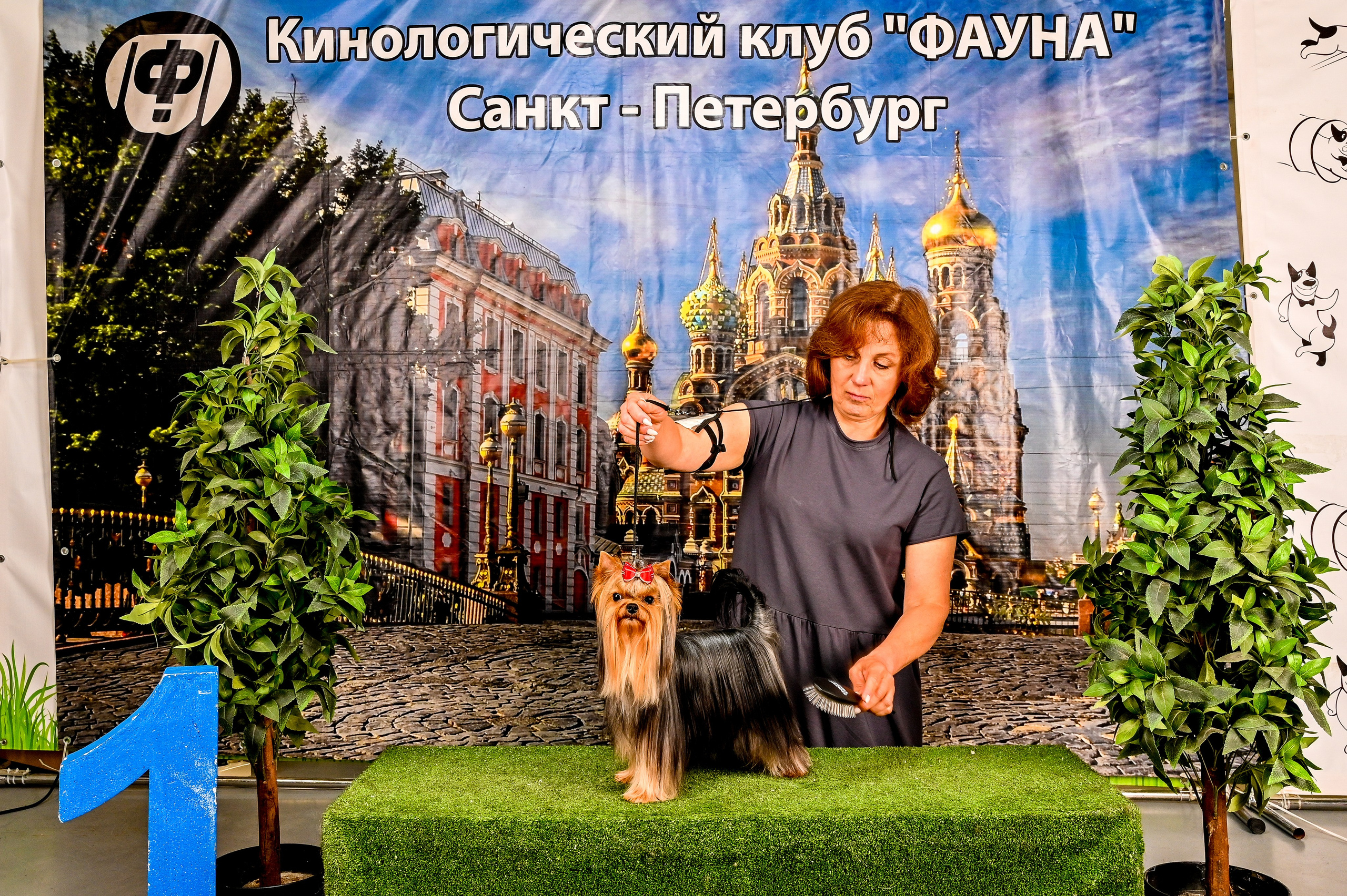 Выставка Клубы «Фауна» и «Догсити» 21-22 Июня 2025 «Пёсбург». Фотограф-анималист в СПб