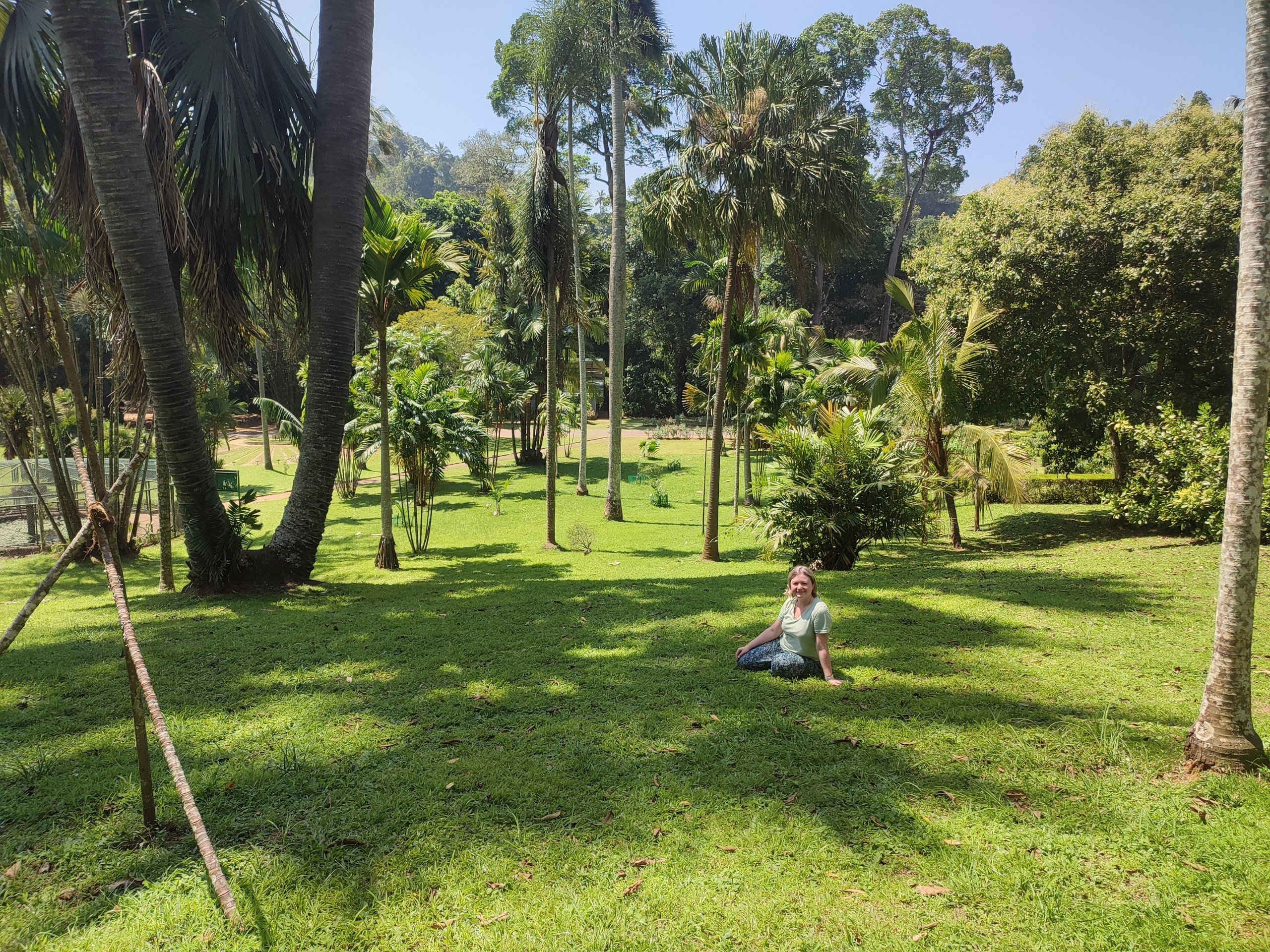 Шри-Ланка | 31.01 — 10.02.2025. Галерея Фантим