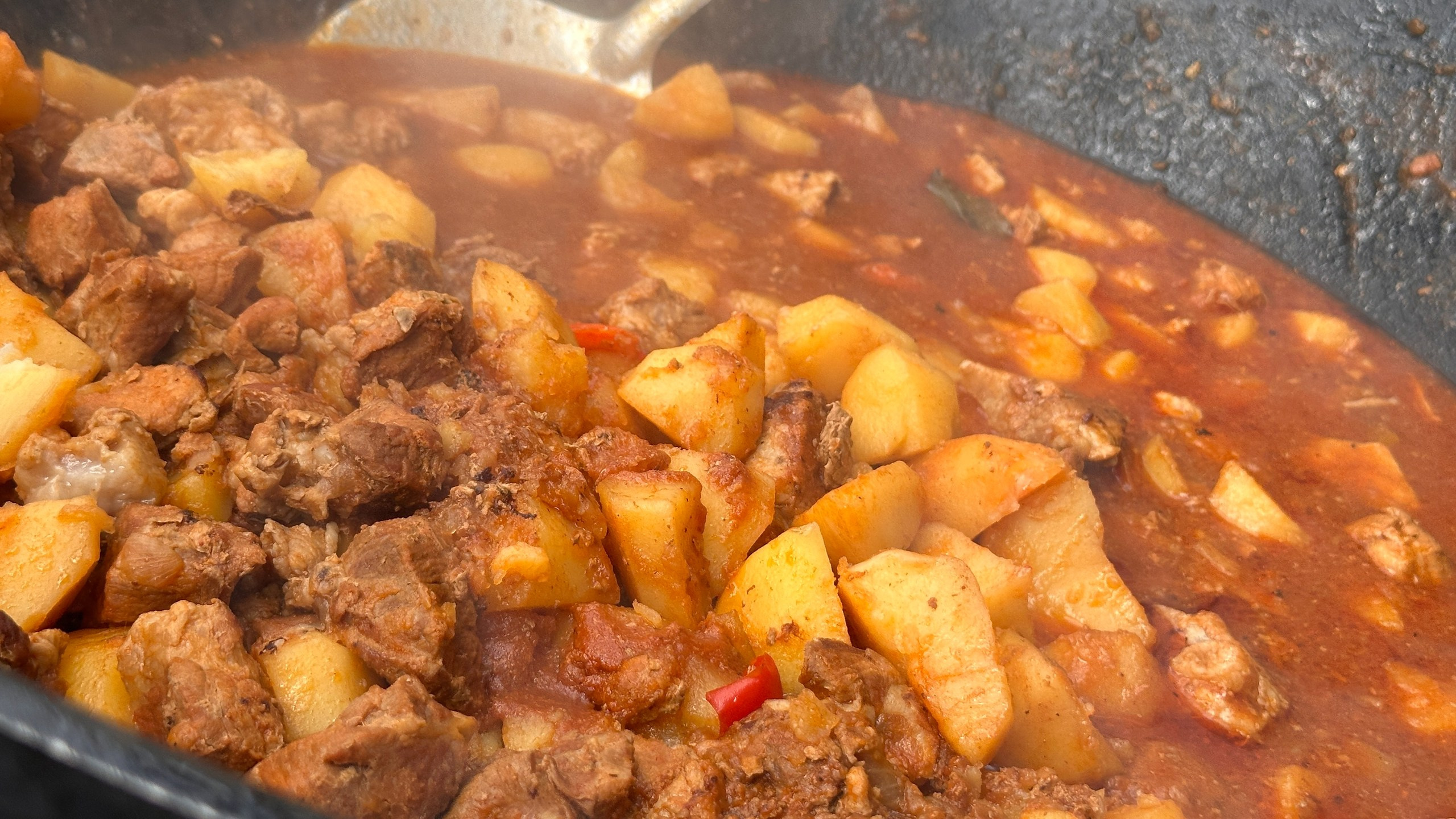 Походная Романтика 48. Зомбический уикенд | 27 — 29.06.25. Галерея Фантим