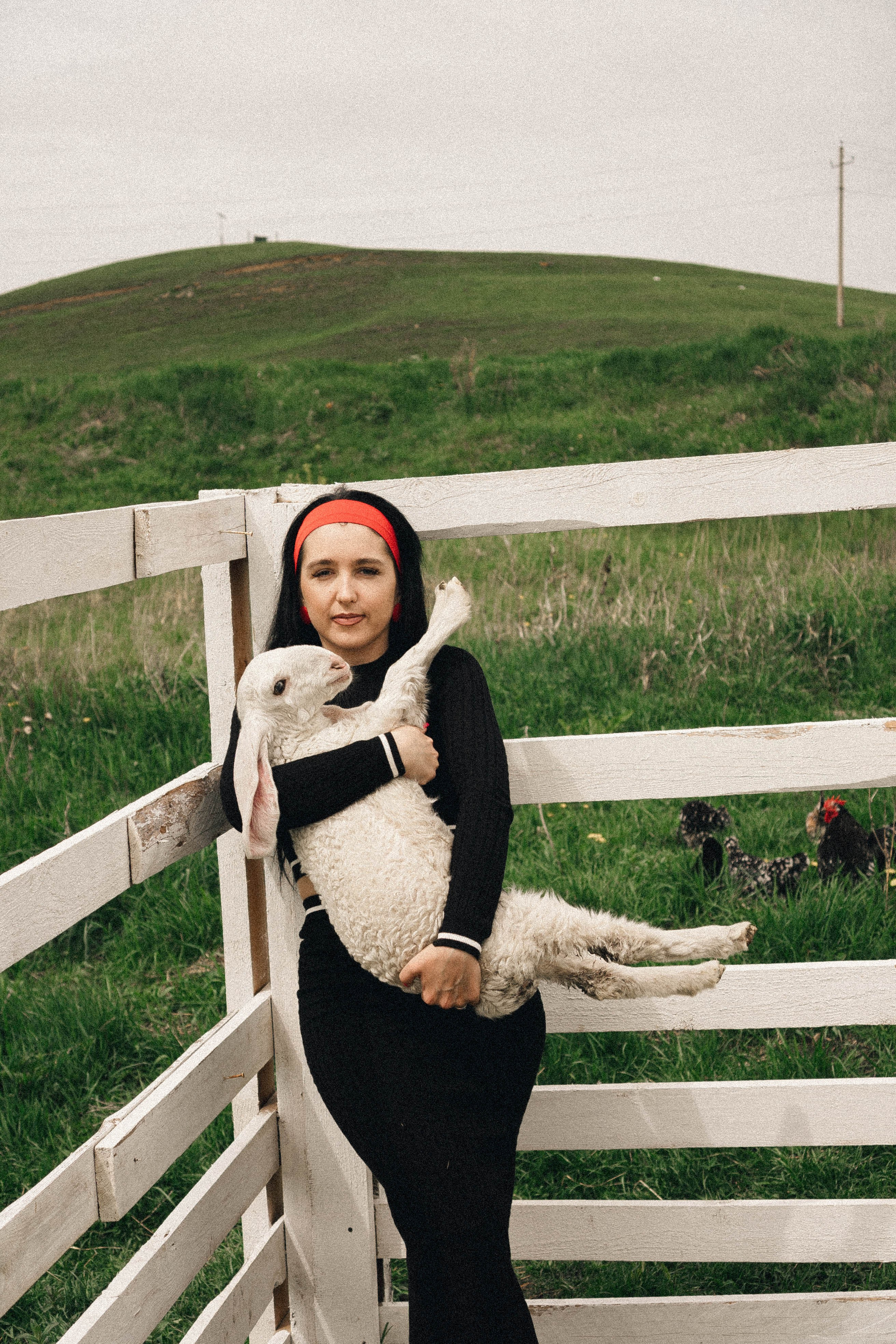 Ферма Альпак. Профессиональный фотограф, Санкт-Петербург — Виктория Богомолова