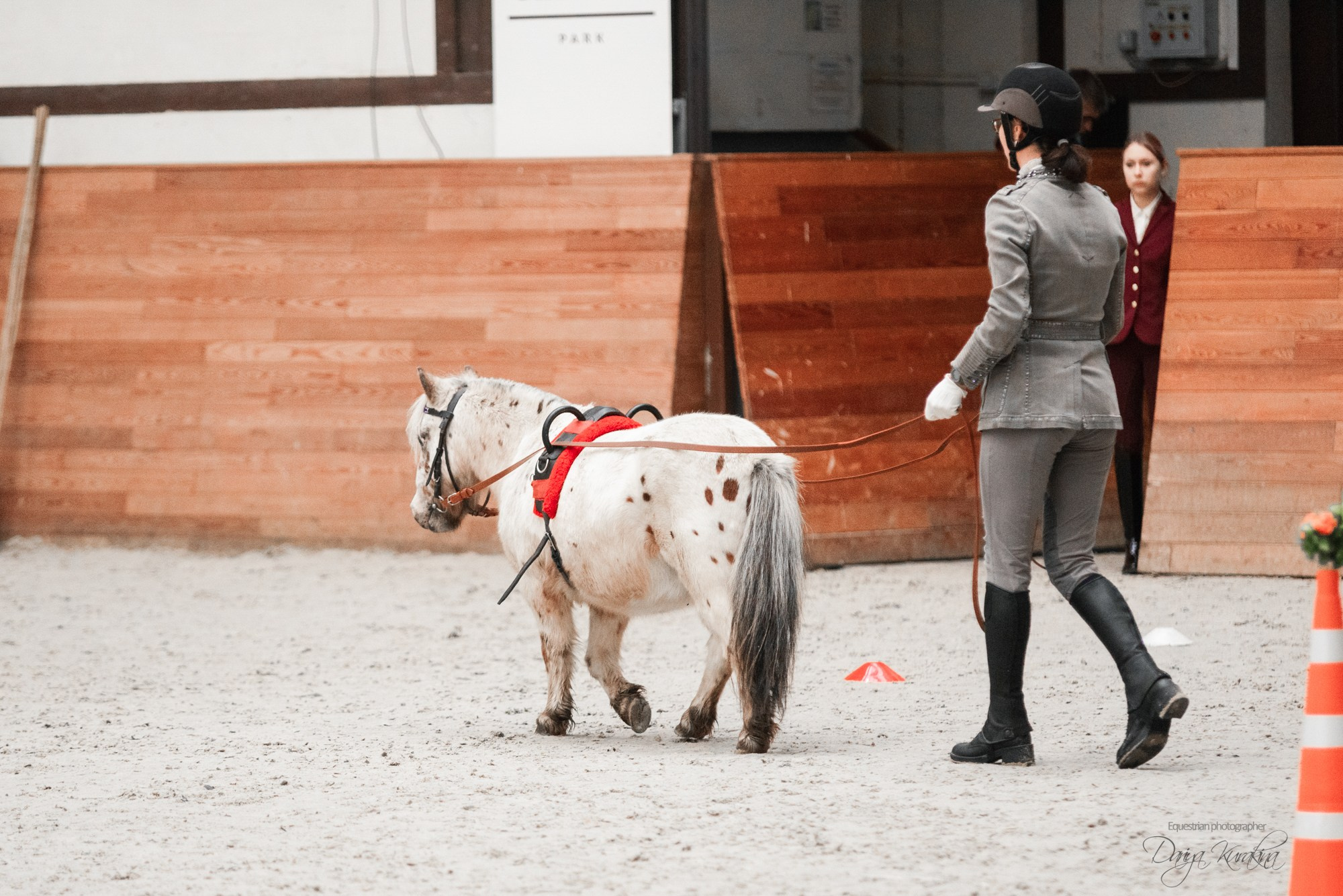 8-я международная выставка Конная Россия. Конный фотограф Куракина Дарья • Фотосессии с лошадьми