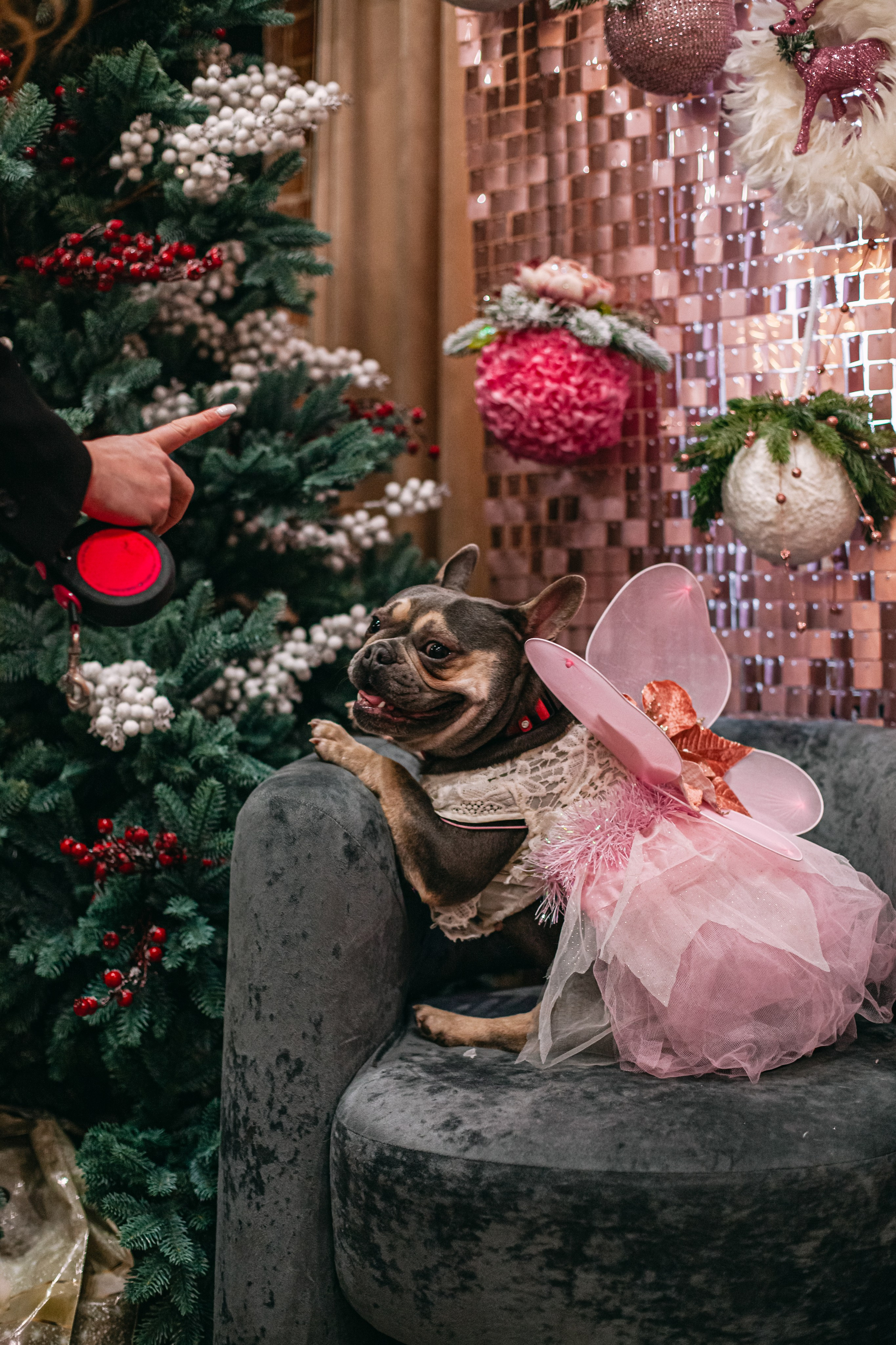 Бульёлка 2024. Фотограф-анималист Татьяна Степанова