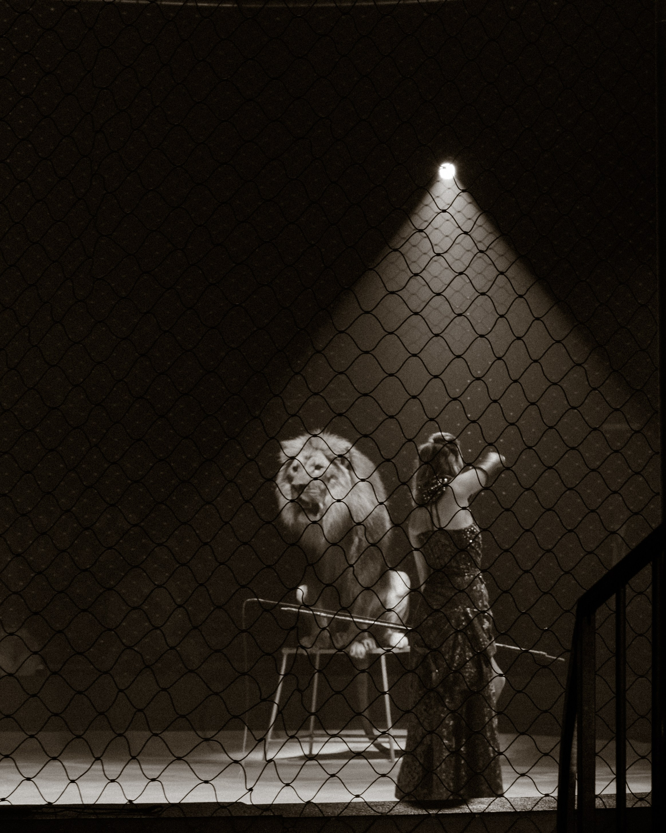 Circus. Фотограф в Москве Шалышко Ангелина
