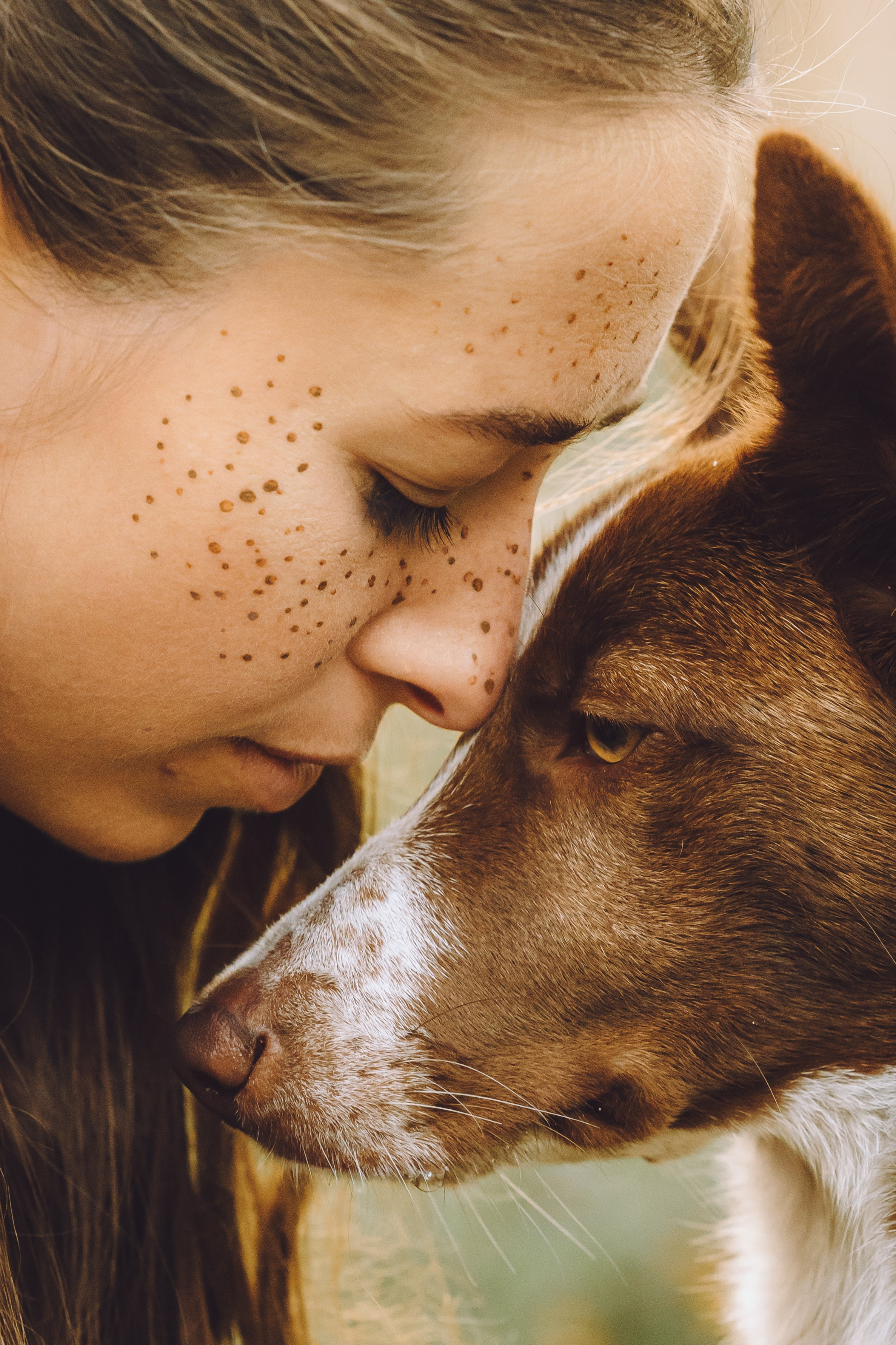 Выездной дог-тренинг от школы «Шерсть имею», Тованово