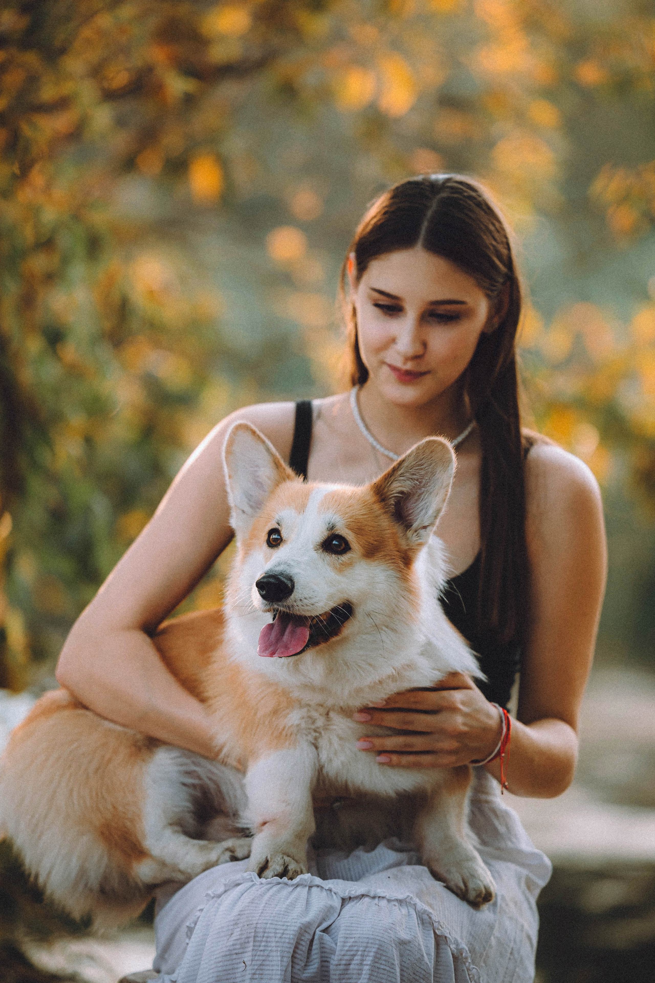 Арчи и его семья