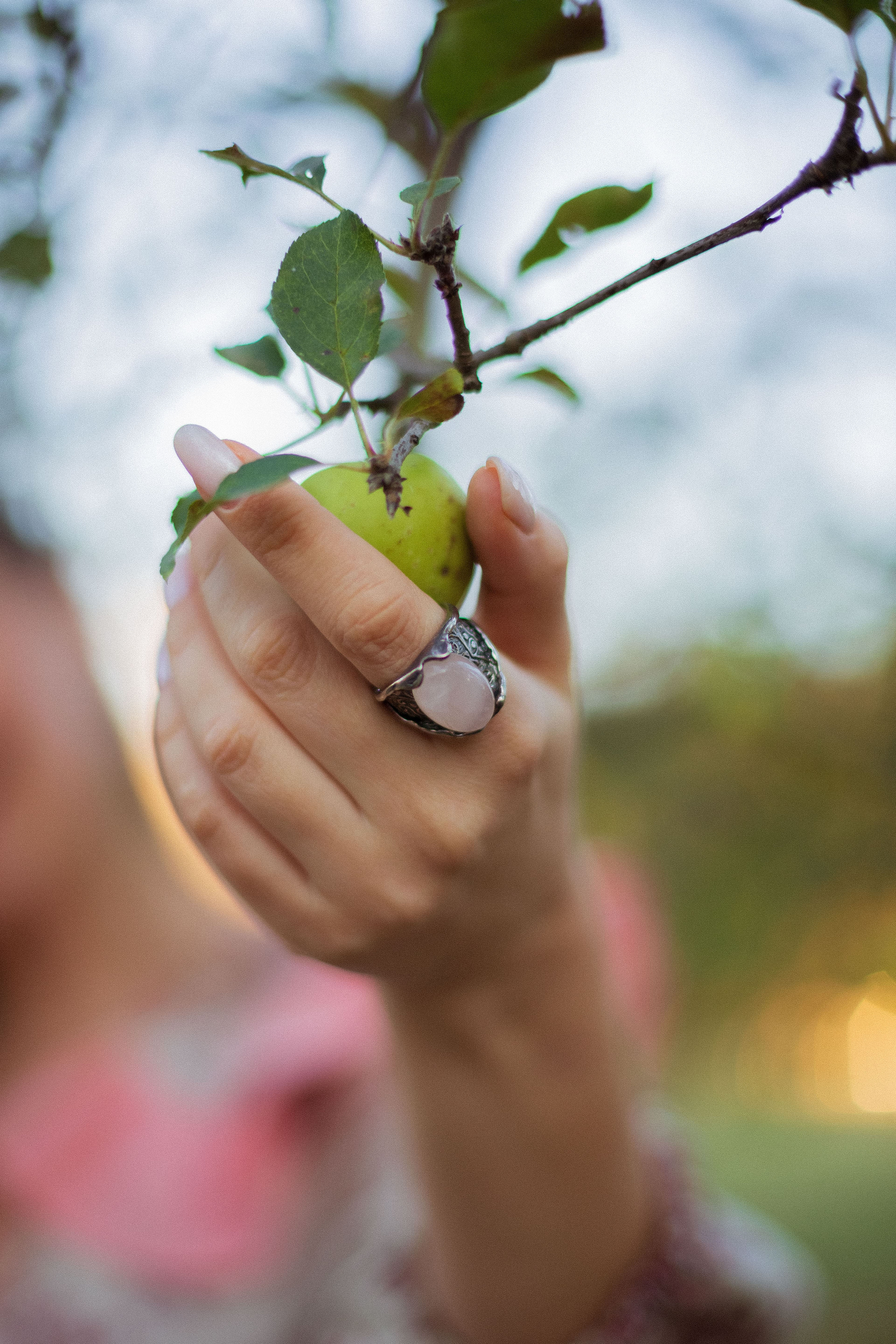 Apple trees. Валерия Трофимова ФОТОГРАФ|Санкт-Петербург |Крым