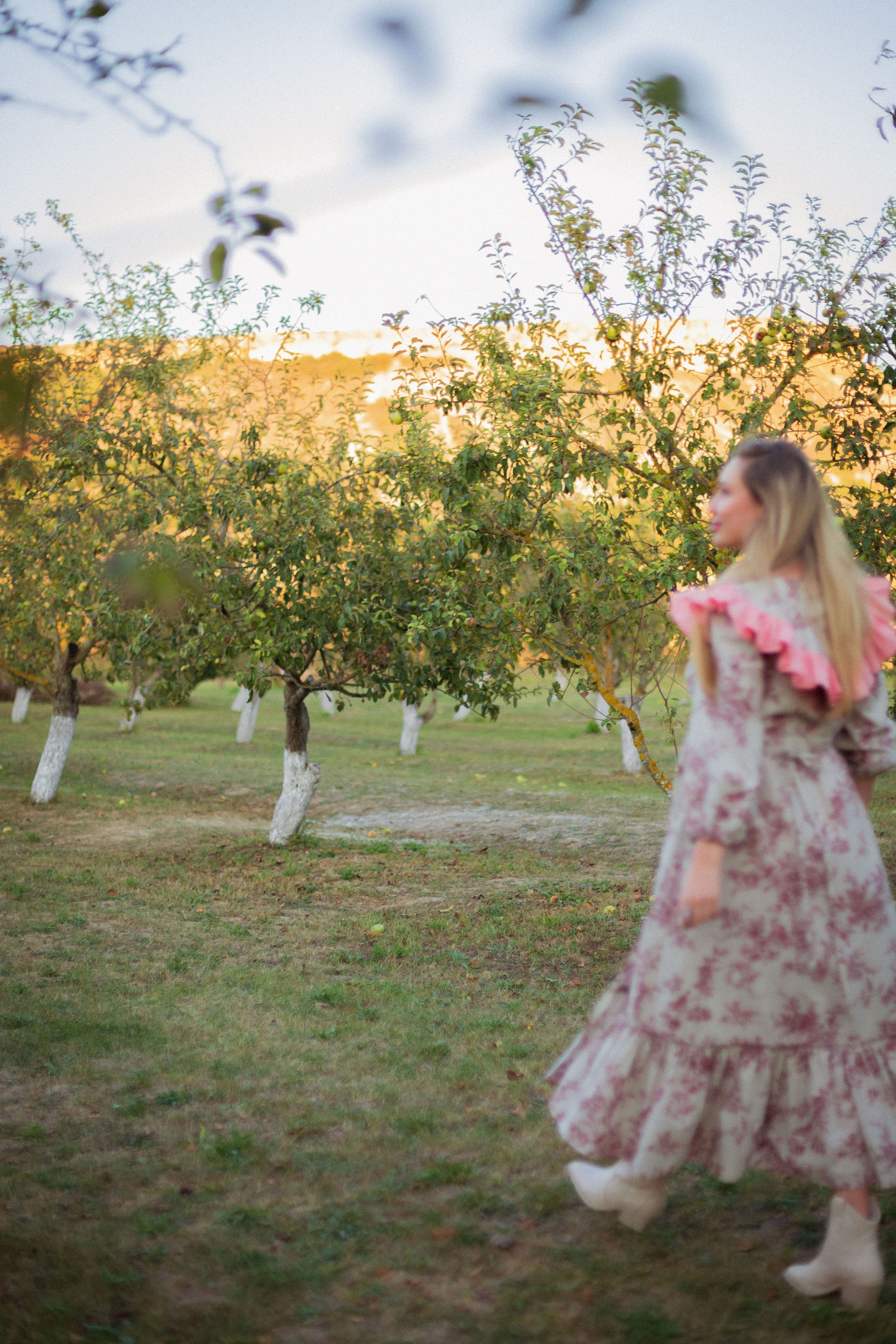 Apple trees. Валерия Трофимова ФОТОГРАФ|Санкт-Петербург |Крым