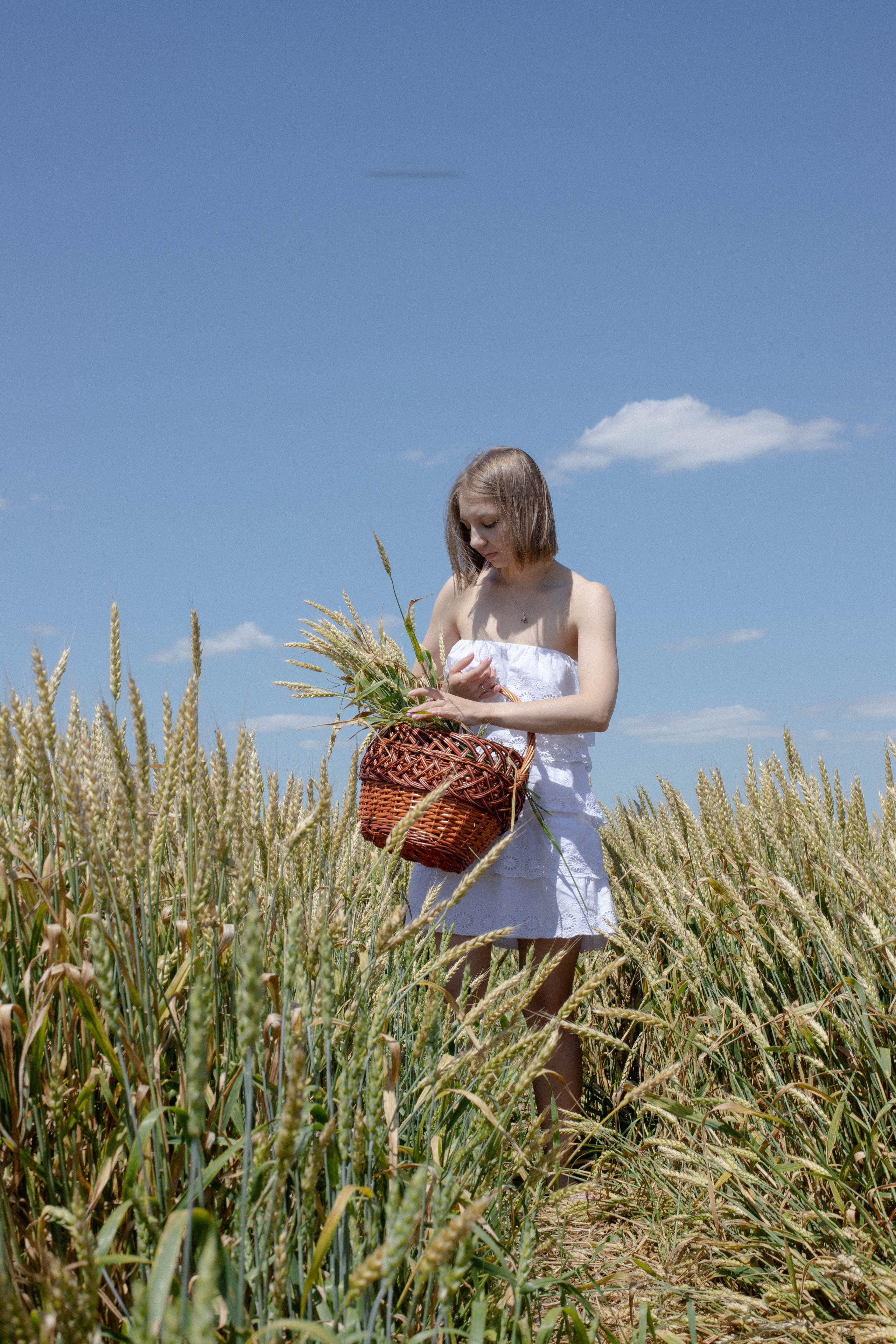 Творческий портфолио-бук. Главная