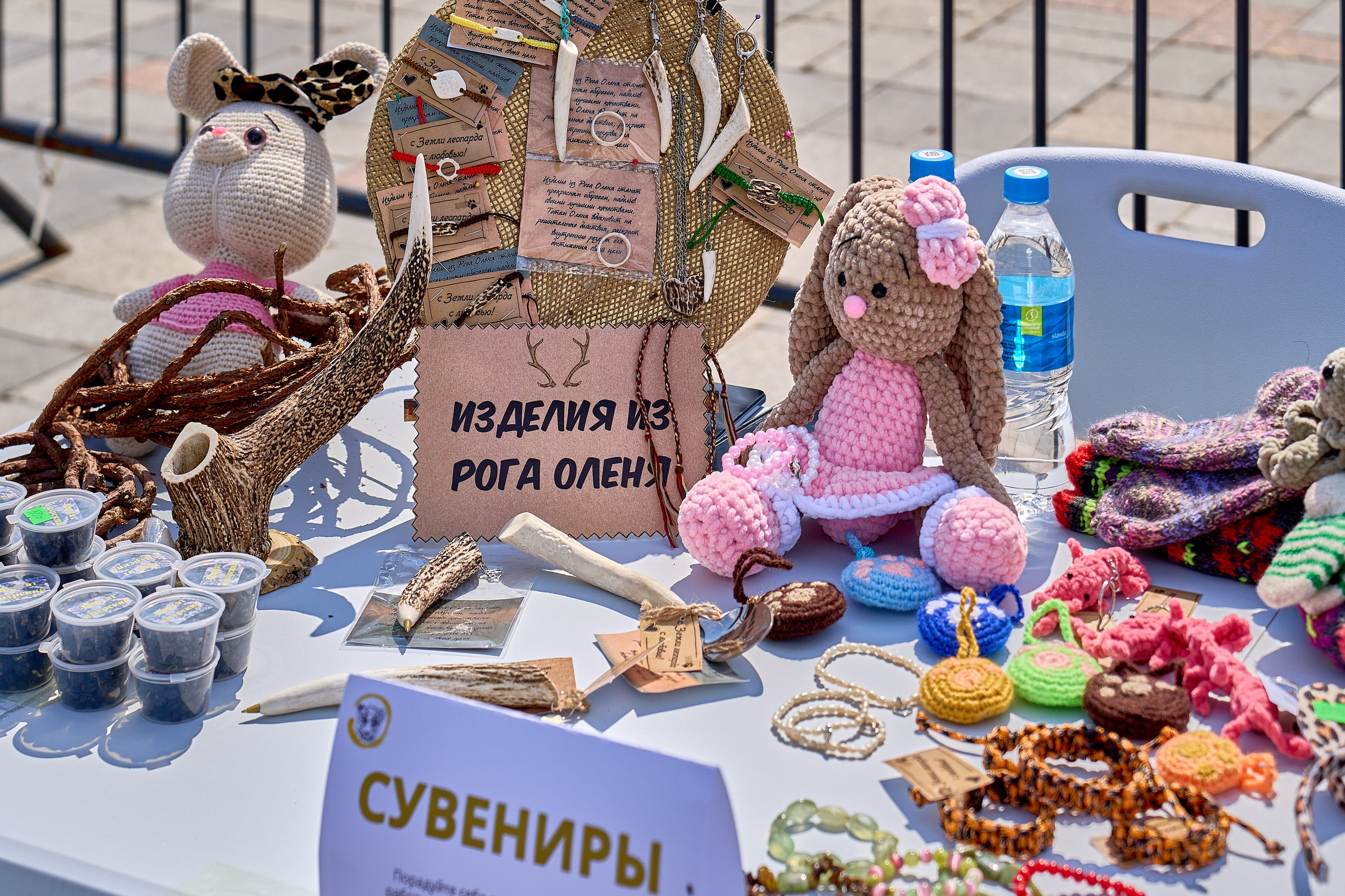 «День леопарда»!. Фотограф во Владивостоке