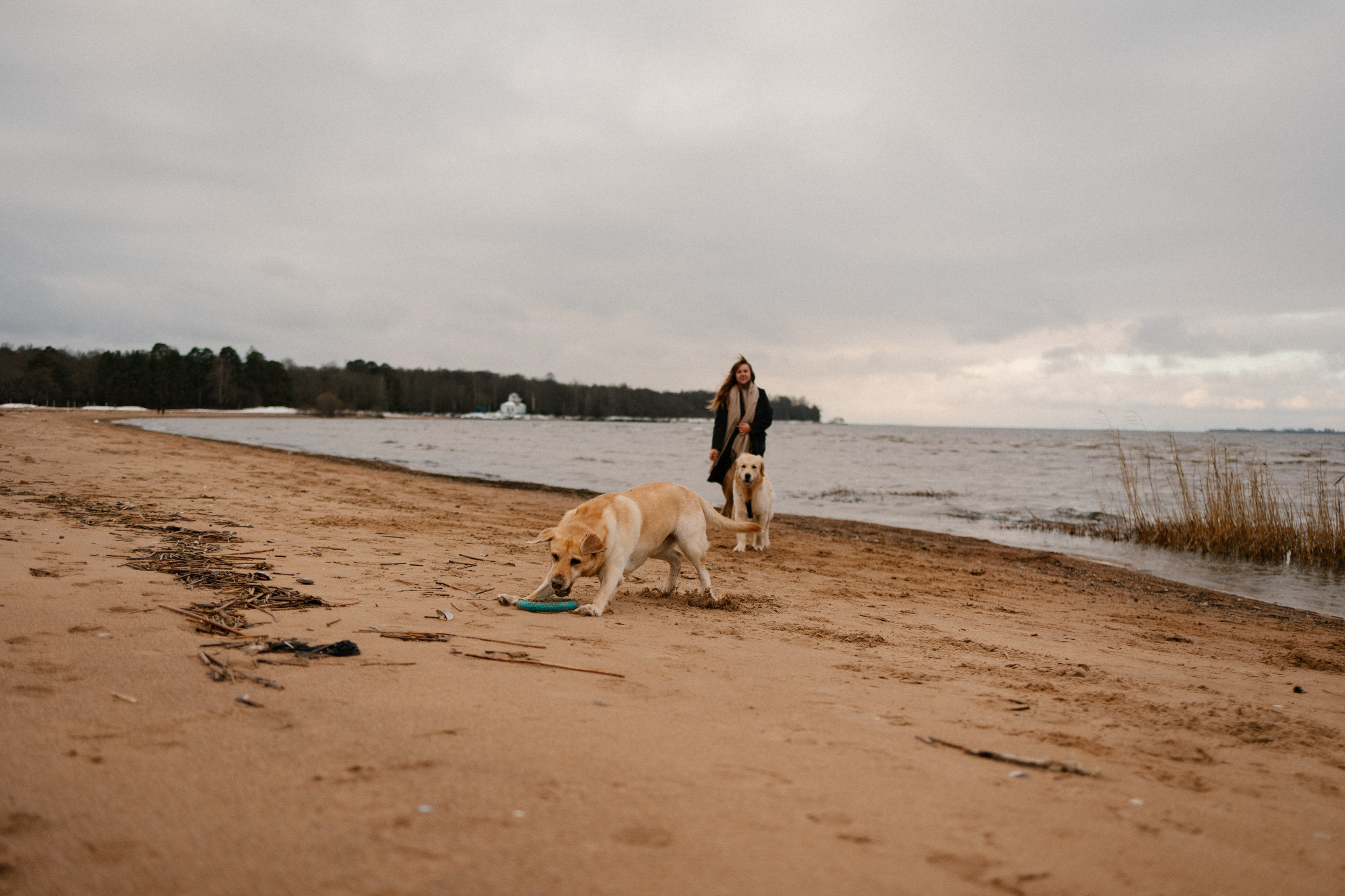 Ирина и Бася. Фотограф — Анималист | Санкт-Петербург