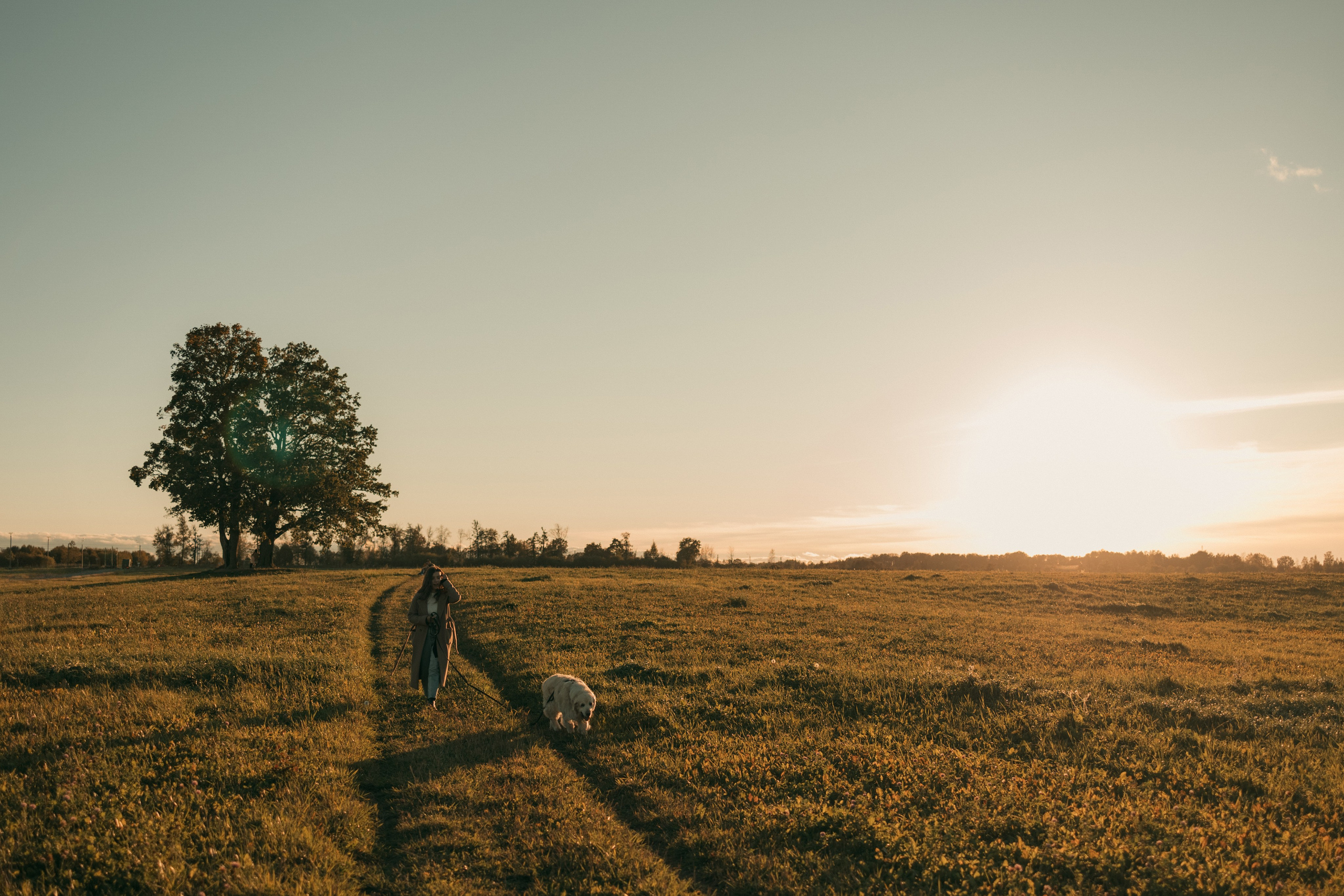 Лера и Скай. Фотограф — Анималист | Санкт-Петербург