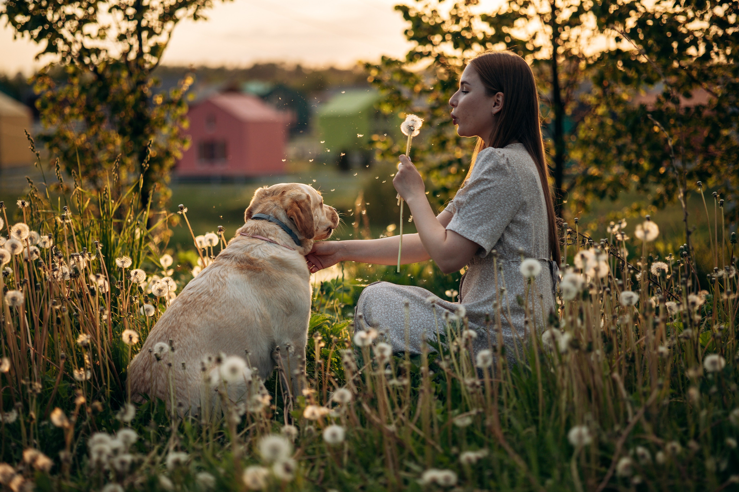 Шани и ее семья. Фотограф — Анималист | Санкт-Петербург