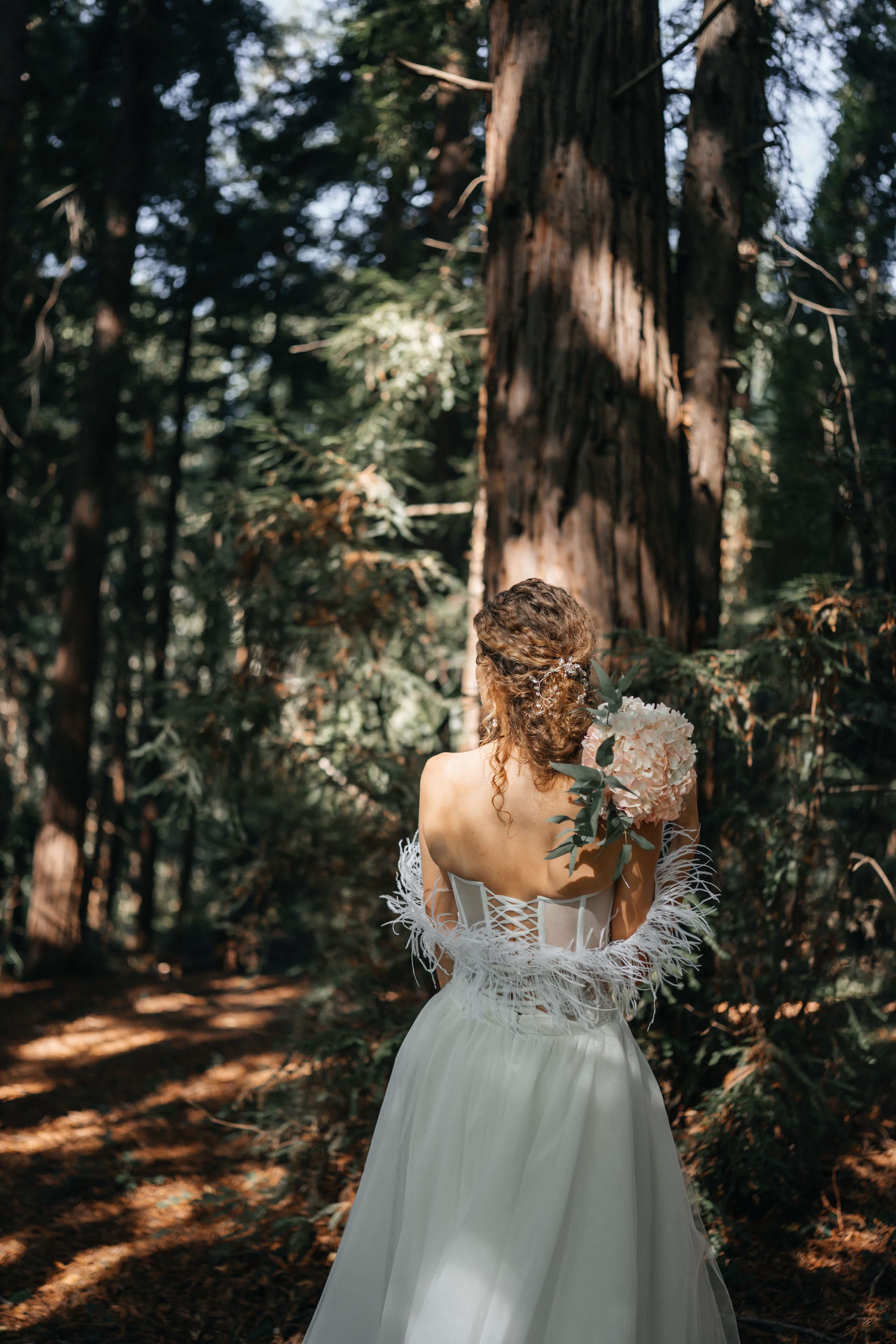 Свадьба Дмитрия и Алёны. Главная