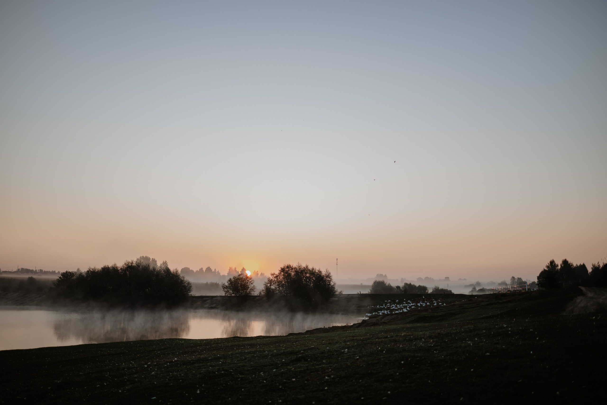 На рассвете. Свадебный и портретный фотограф в Брянске и Москве Алина Химушкина