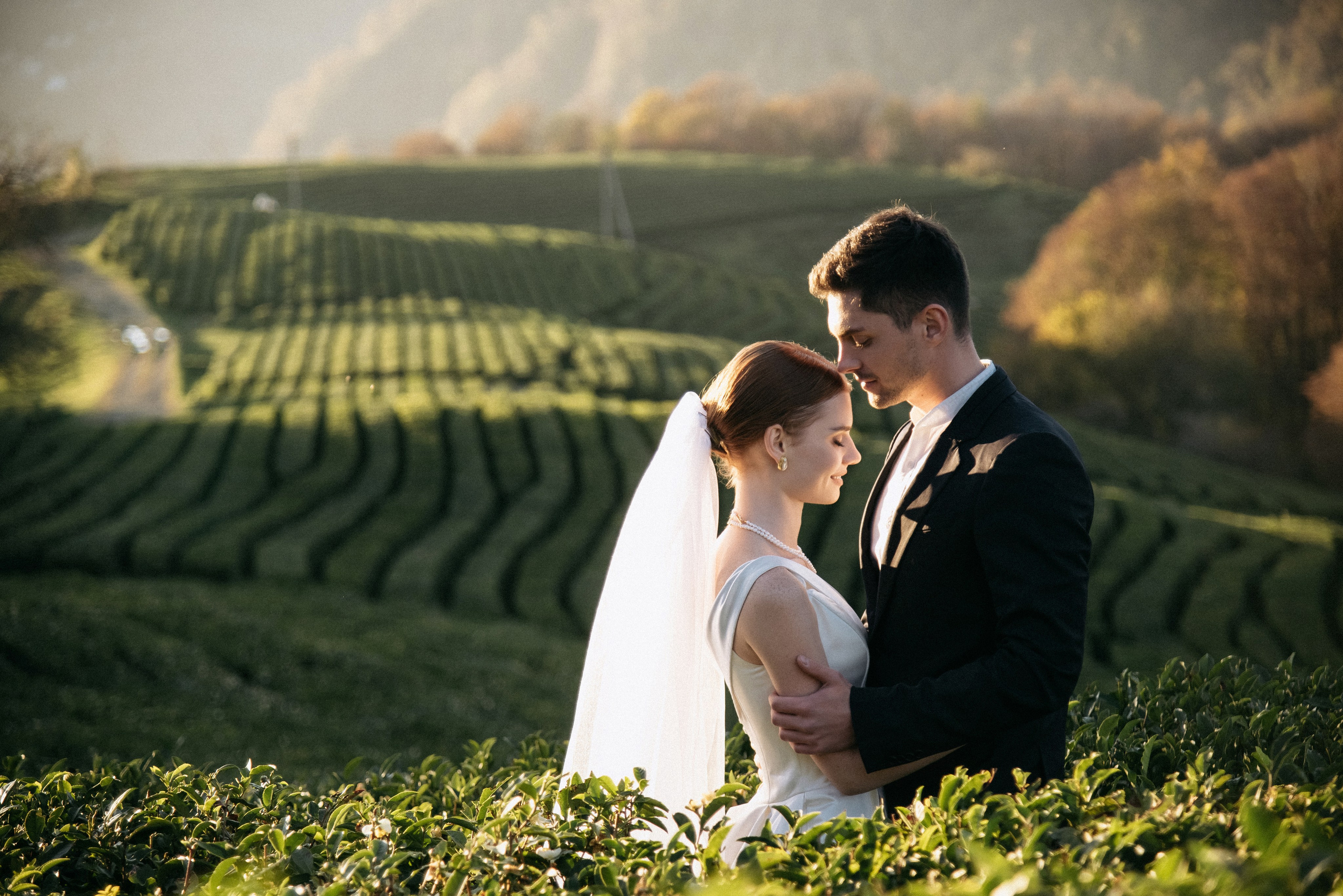 Чайные плантации Сочи. Свадебный и семейный фотограф Темрюк Алёна Ковальская