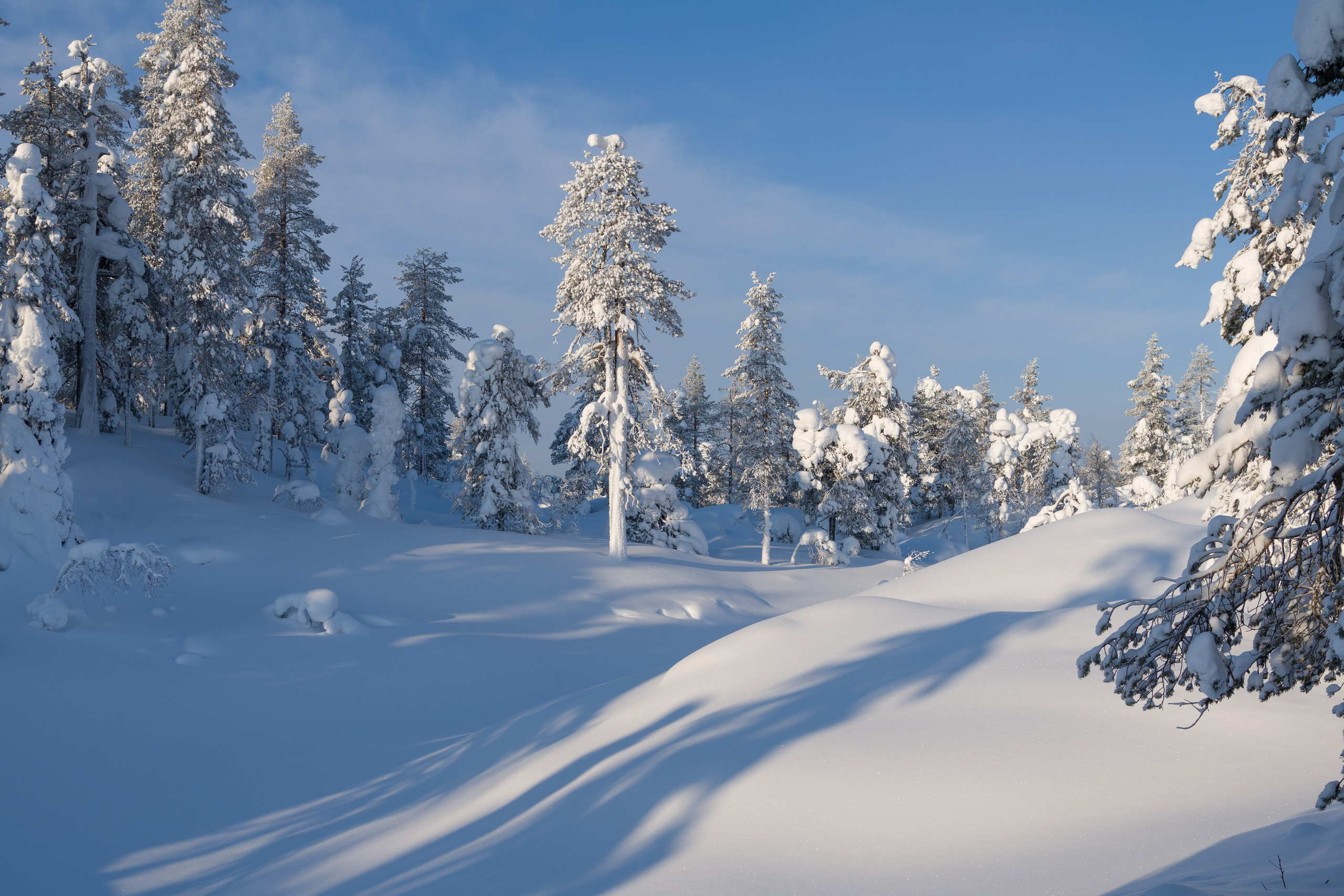 Зима. Северные Ночи