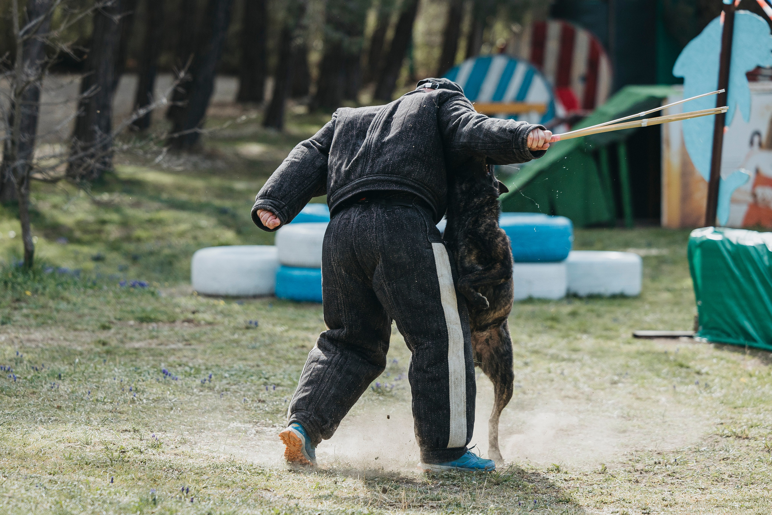 Геленджик Мондьоринг. Фотограф-анималист Анна Маринич