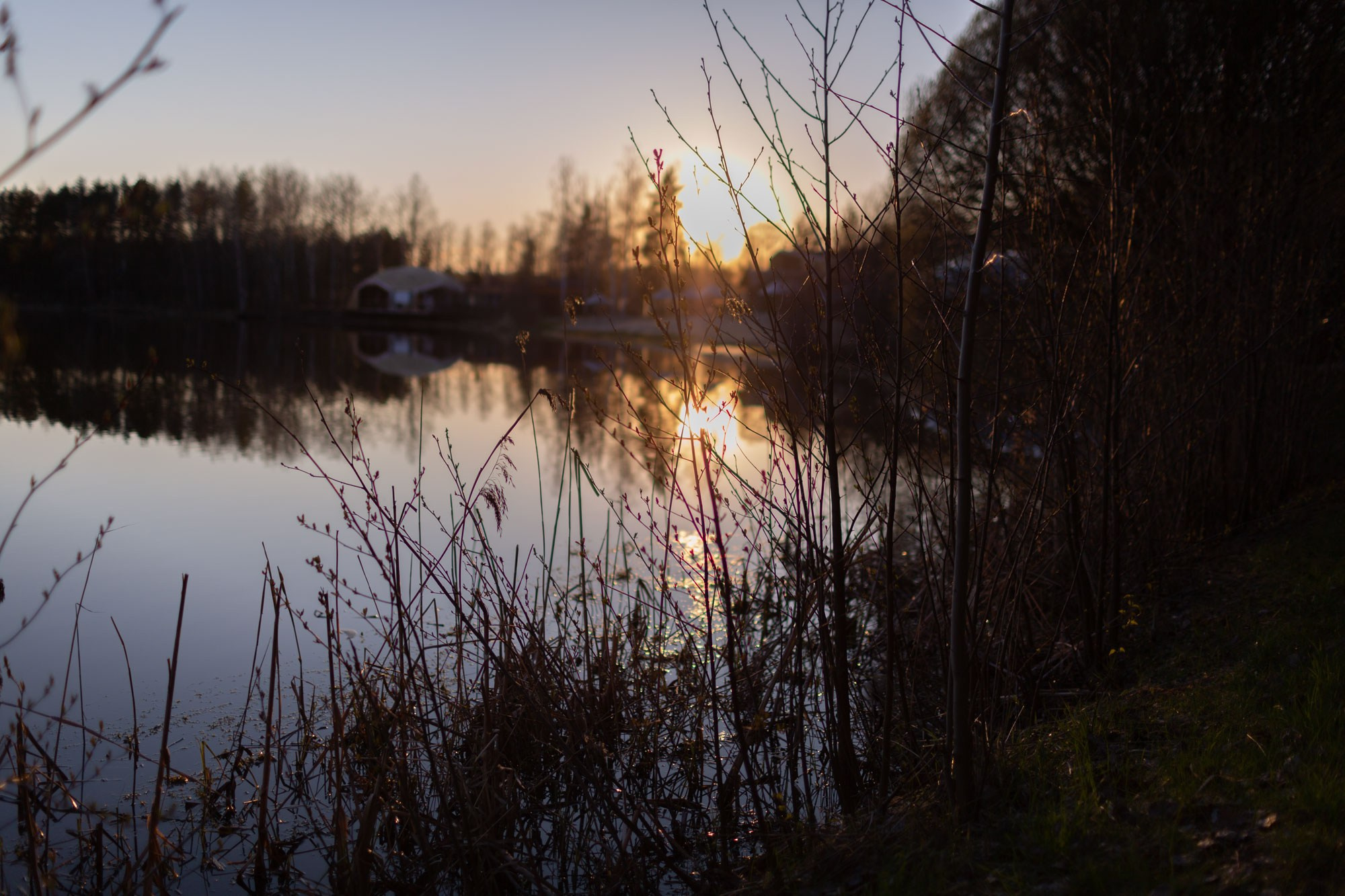Пейзажи. Ирина Москвина | фотограф | Москва