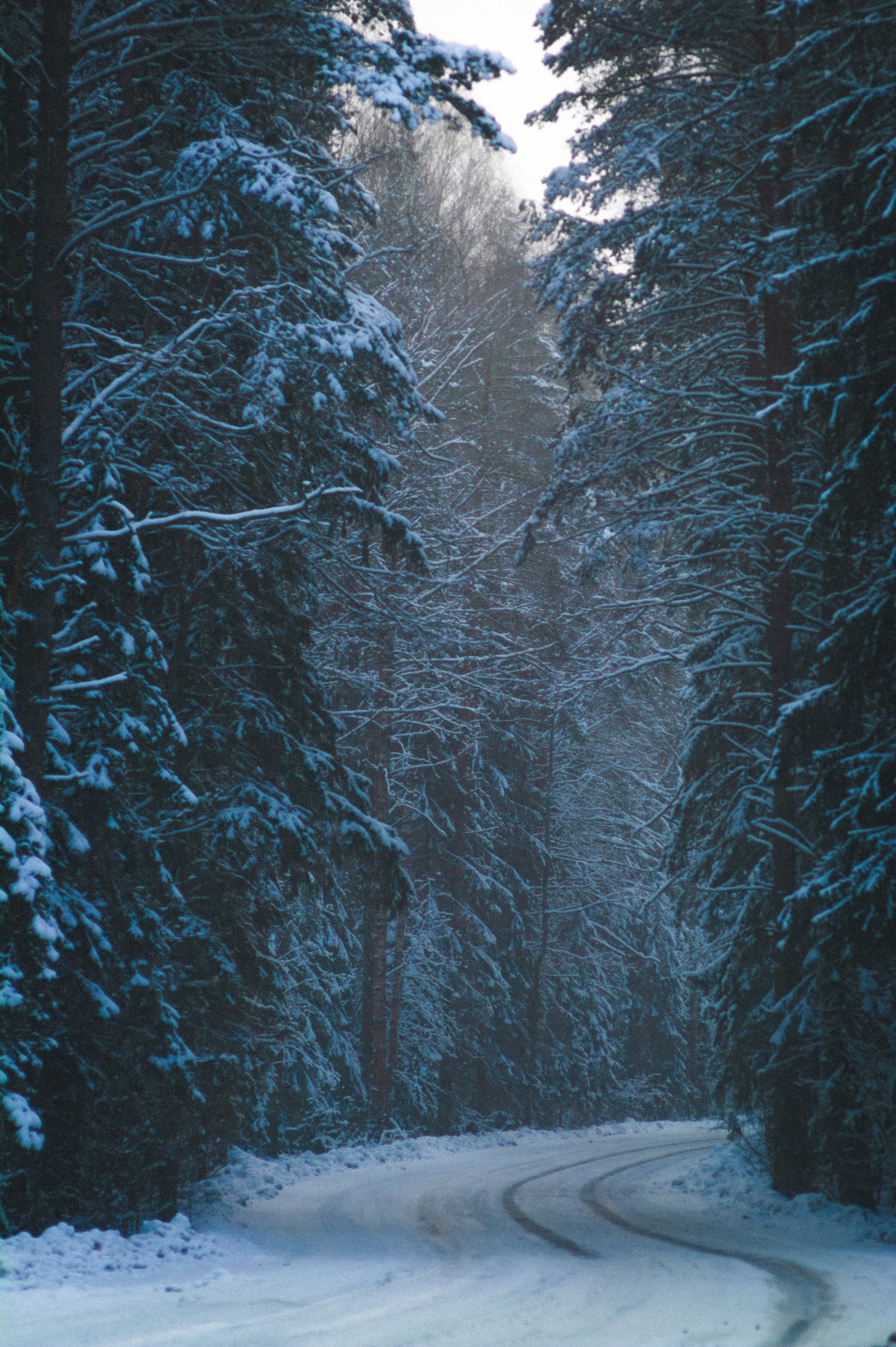 Photos. Den Mirov — Photographer, Musician