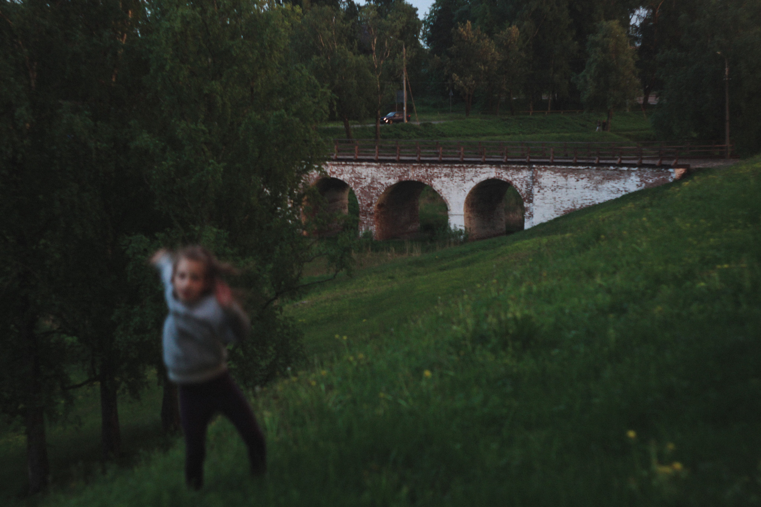 Ветки. Den Mirov — Фотограф, Музыкант