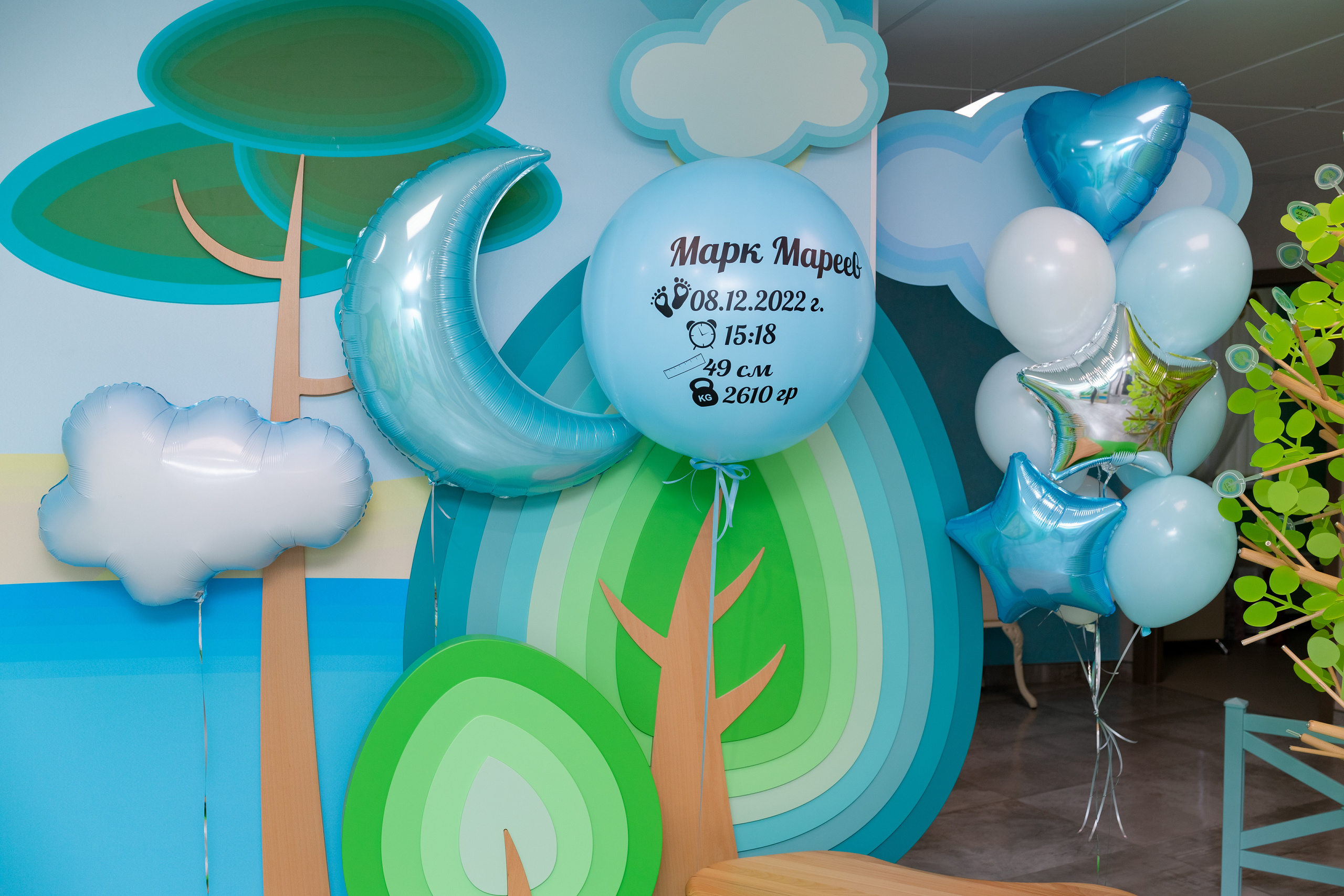 Фотограф в роддоме Сестрорецком г. Санкт-Петербург Банасиковская Ксения