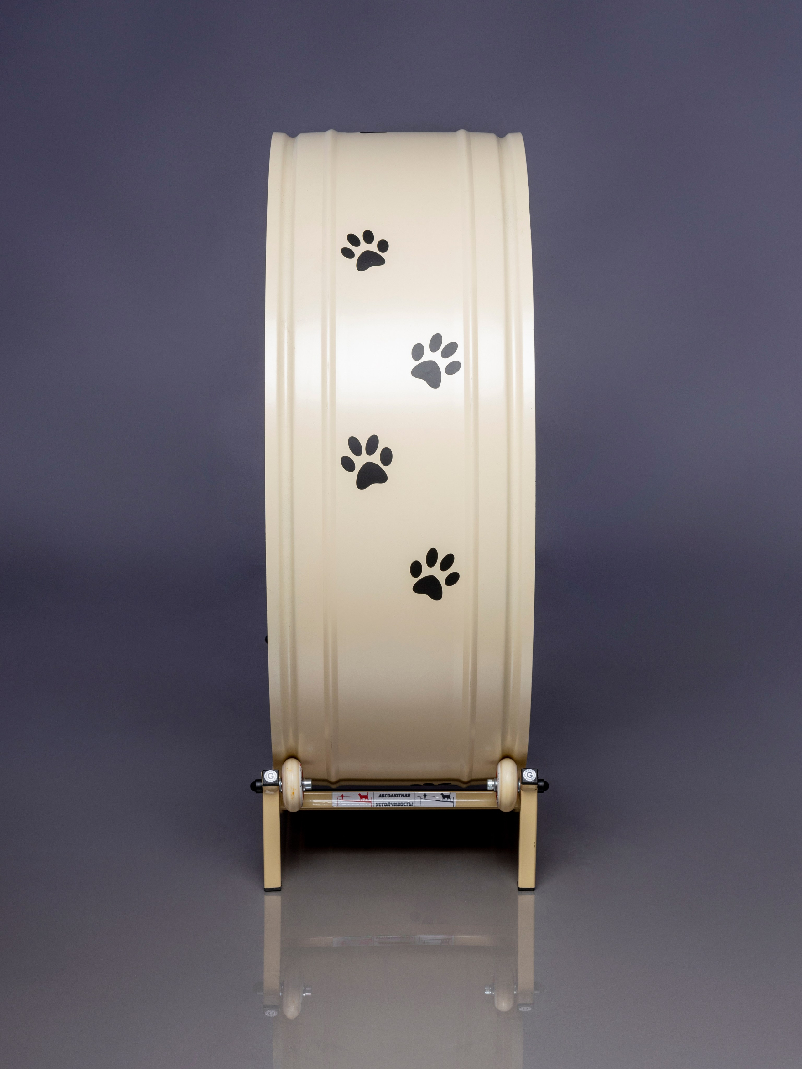 Беговая дорожка для кошки. Фотограф в Туле Крупский АнДРей. Фотостудия «КАДР71» в Туле