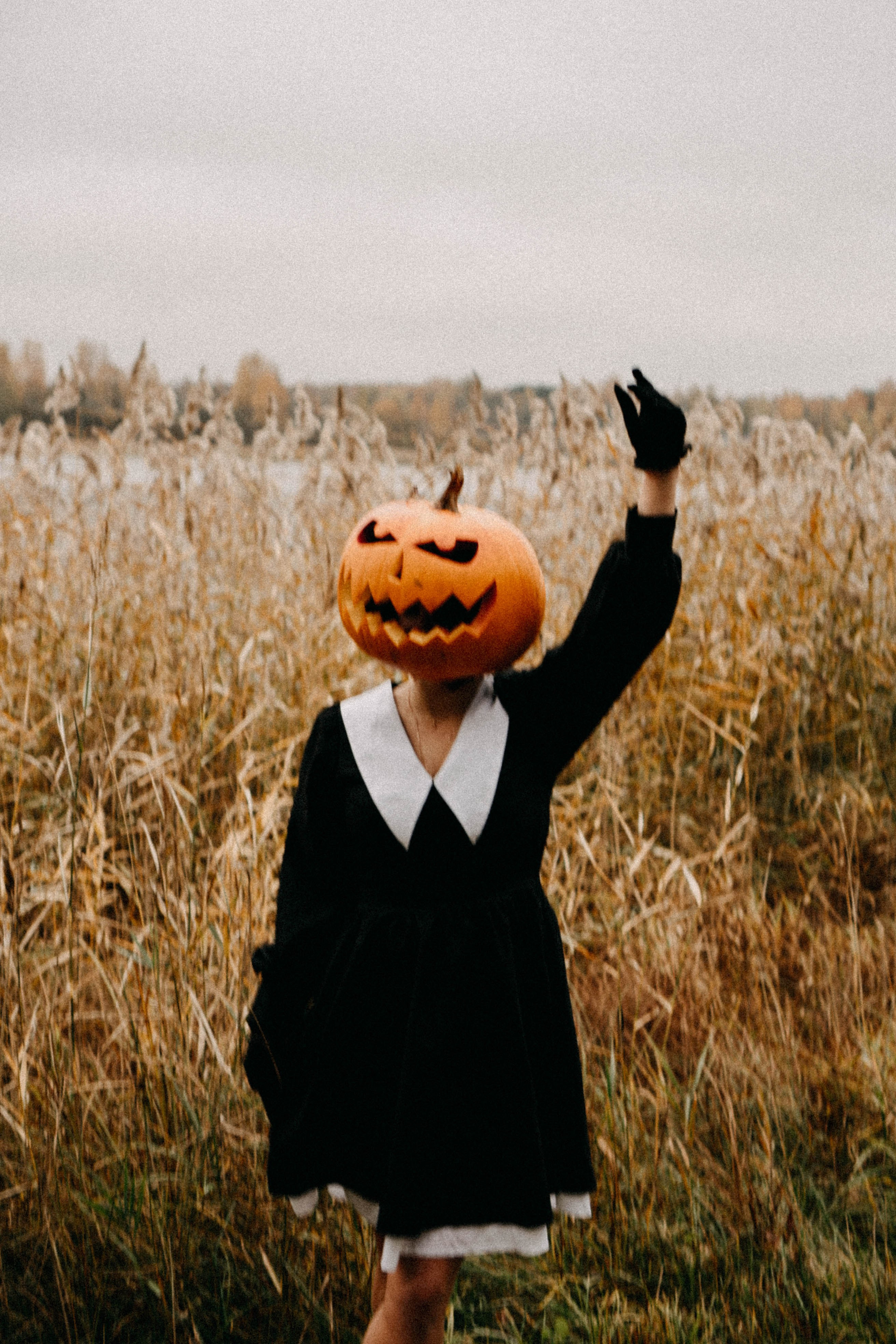 Осеняя. Профессиональный фотограф, Санкт-Петербург — Виктория Богомолова