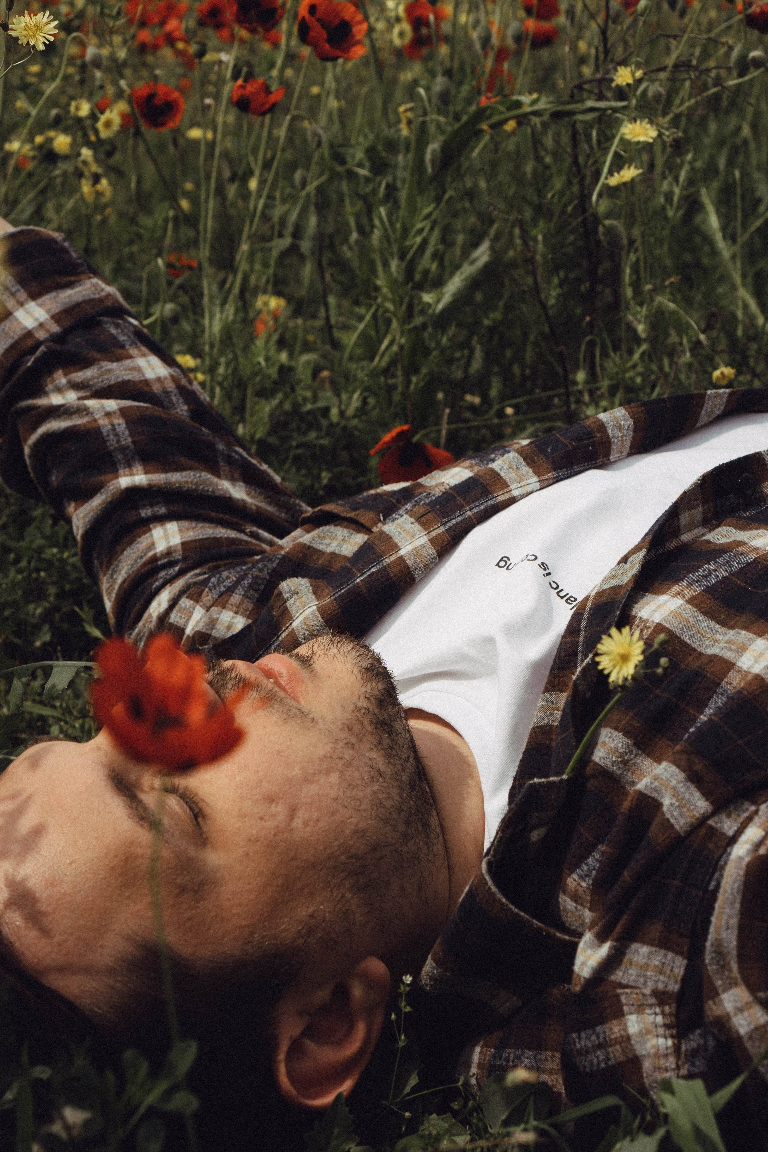 Маки. Профессиональный фотограф, Санкт-Петербург — Виктория Богомолова