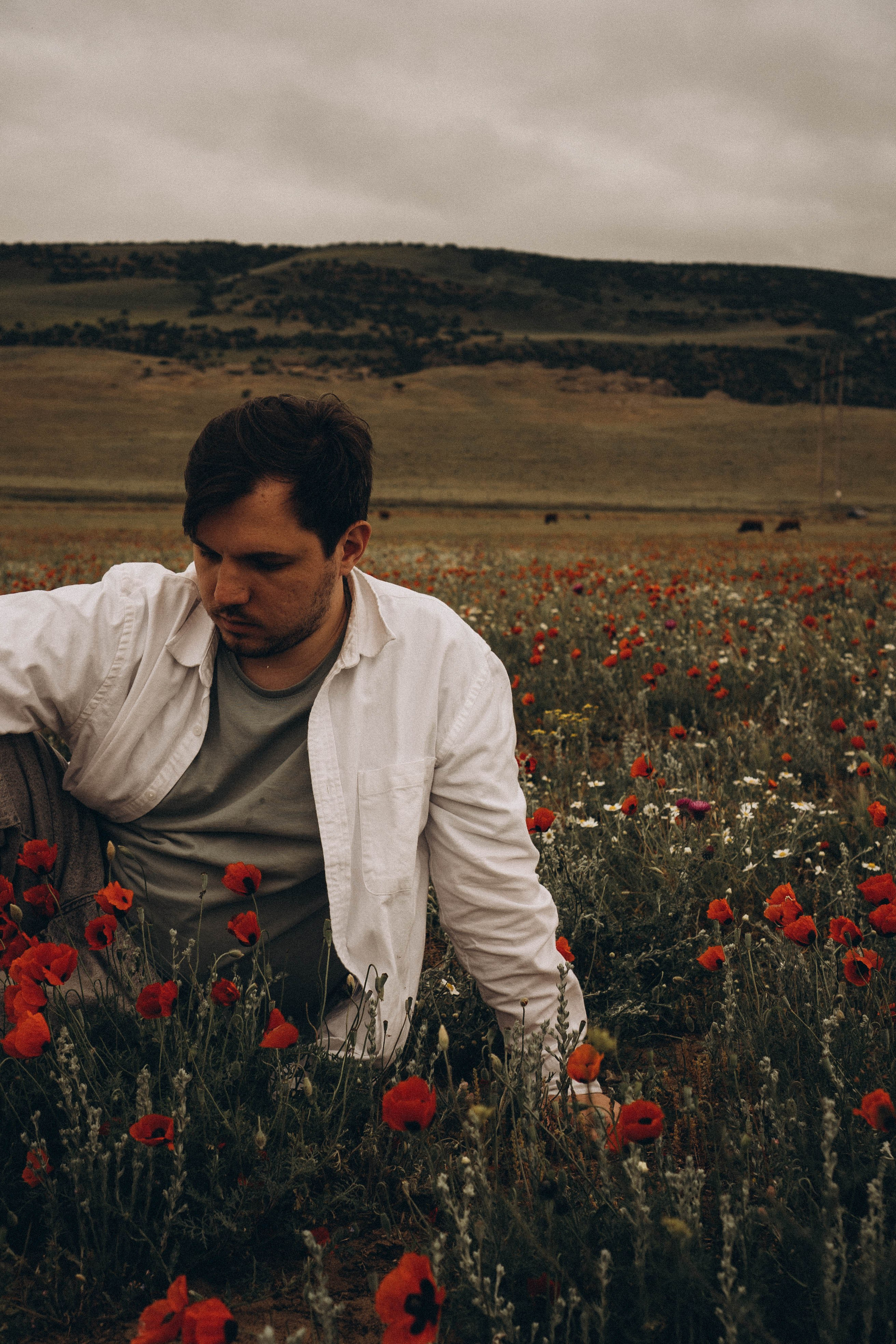 Маки. Профессиональный фотограф, Санкт-Петербург — Виктория Богомолова