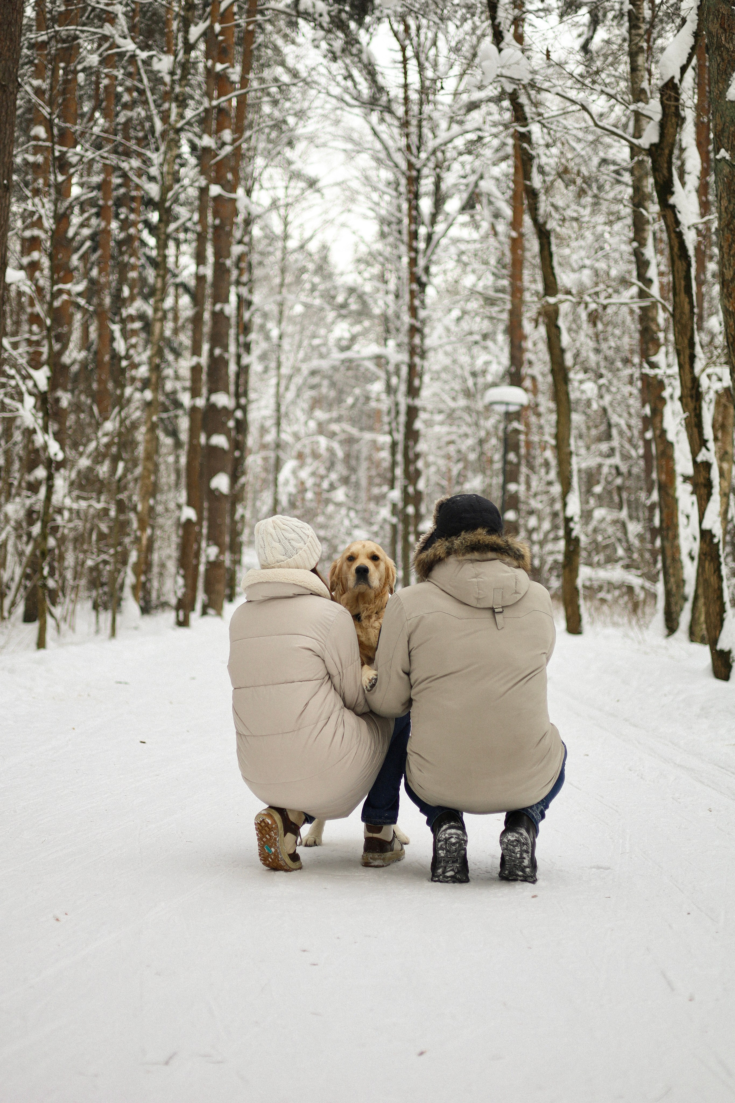 Стивен, Лена и Миша. Фотограф-анималист Ксения Шевцова|Москва