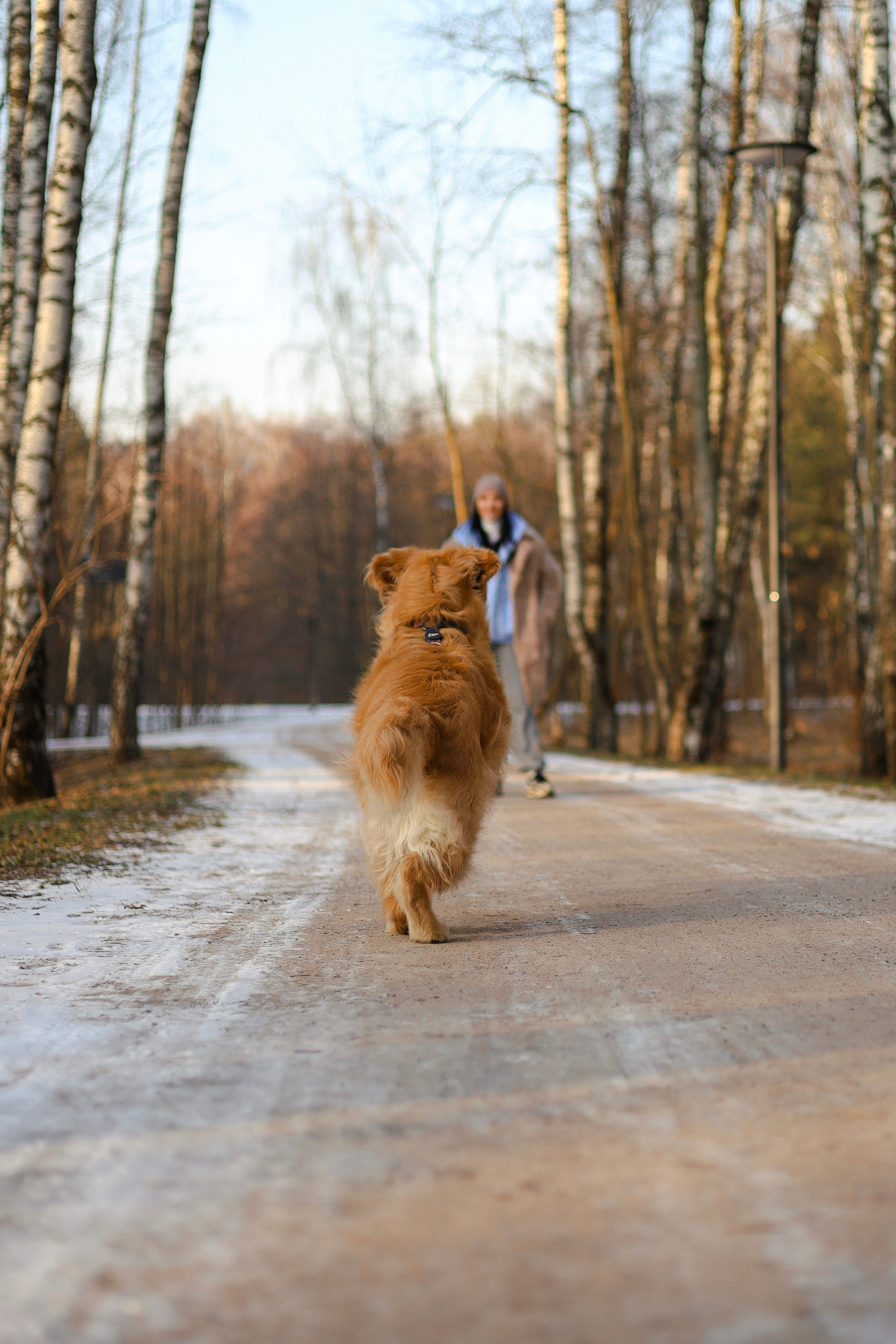 Лёва и Катя. Фотограф-анималист Ксения Шевцова|Москва
