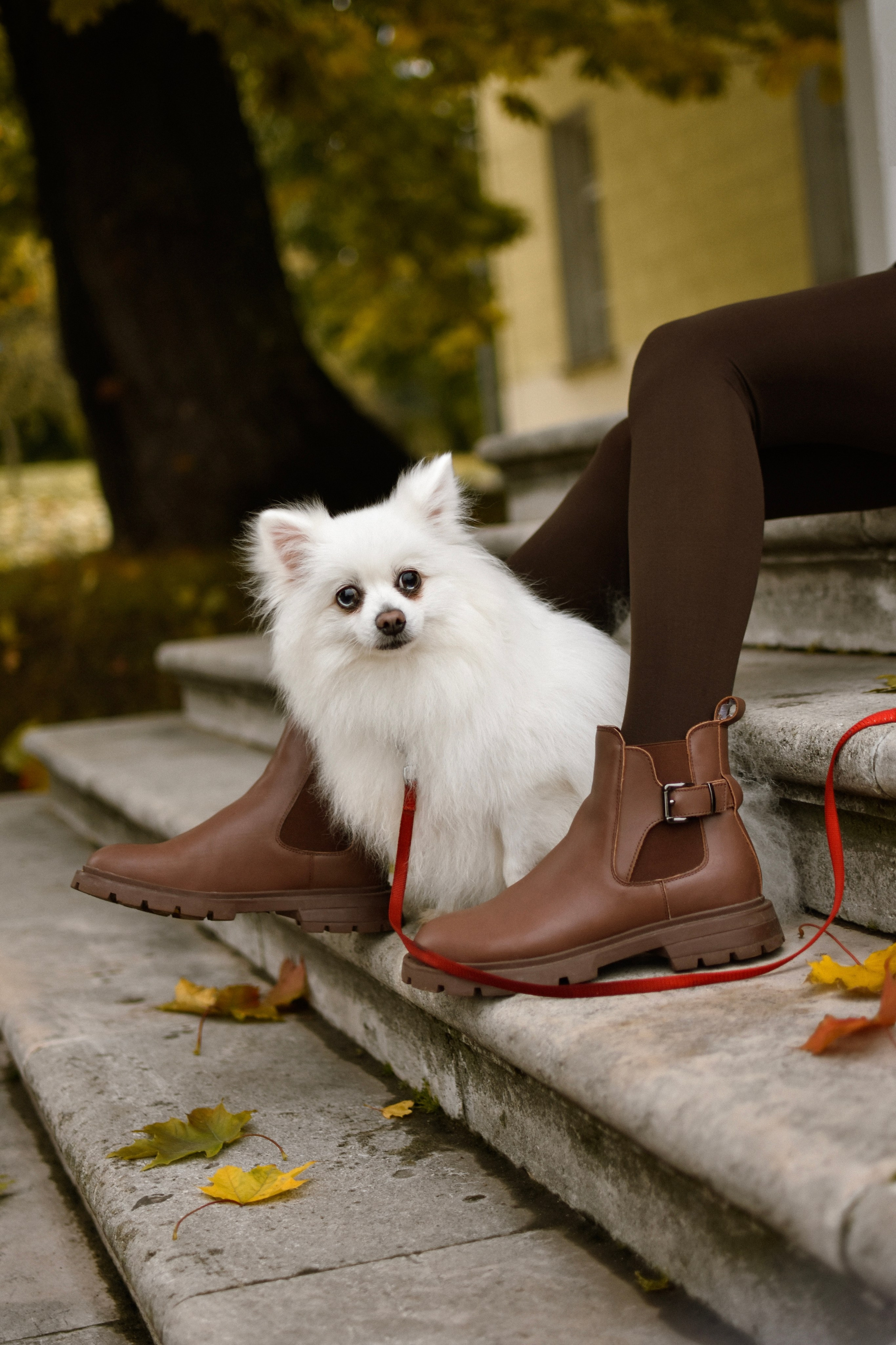 Анабель и Саша. Фотограф-анималист Ксения Шевцова|Москва