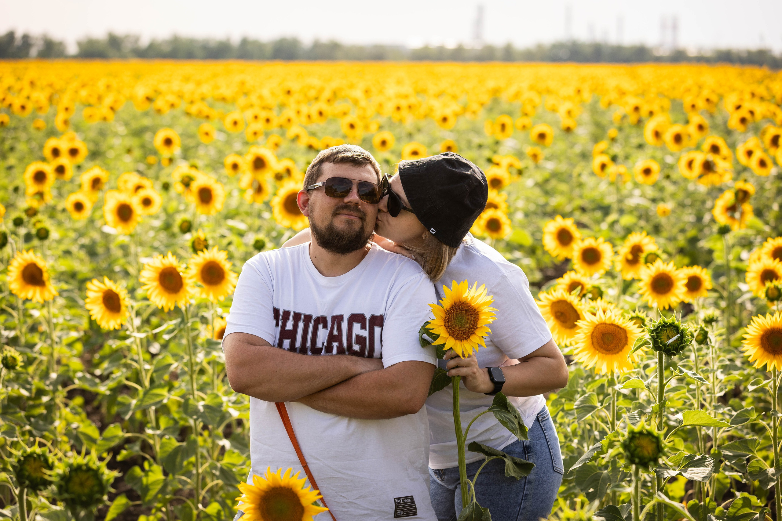 ПОДСОЛНУХИ. Фотограф-АниМалист Анна Абрамова