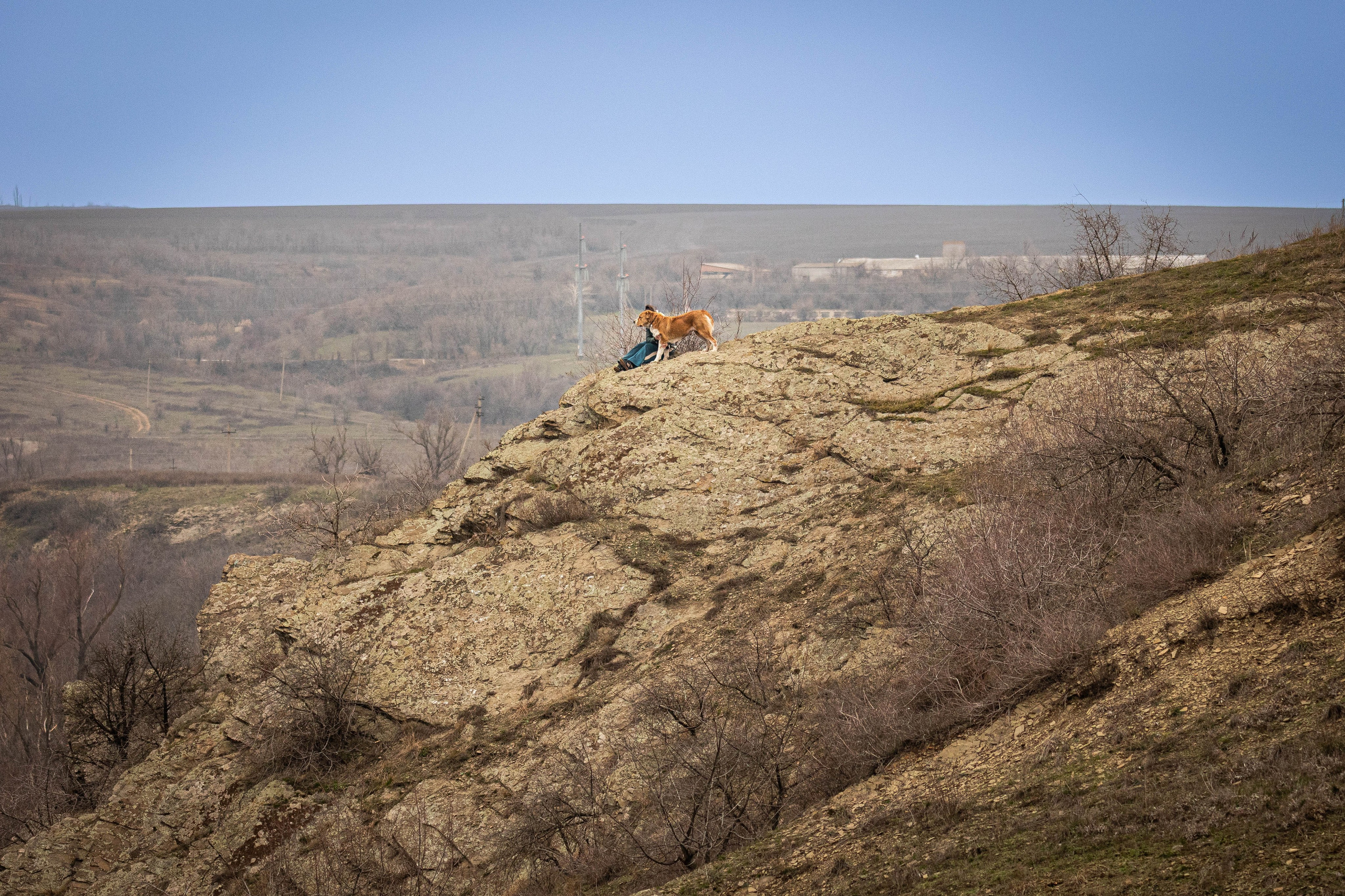 Пальма. Фотограф-АниМалист Анна Абрамова