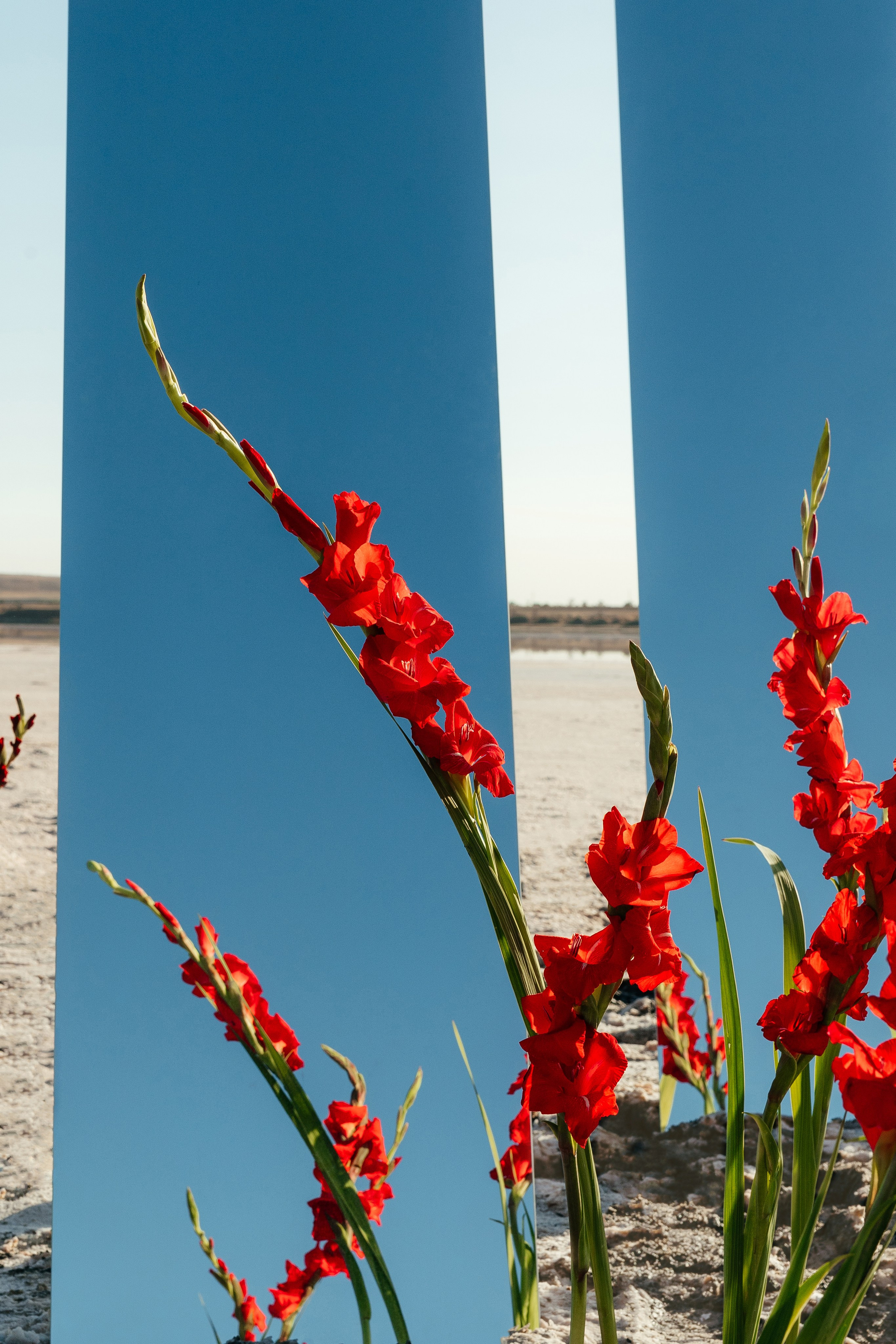 Соня И Антон. Фотограф Ирина Романова