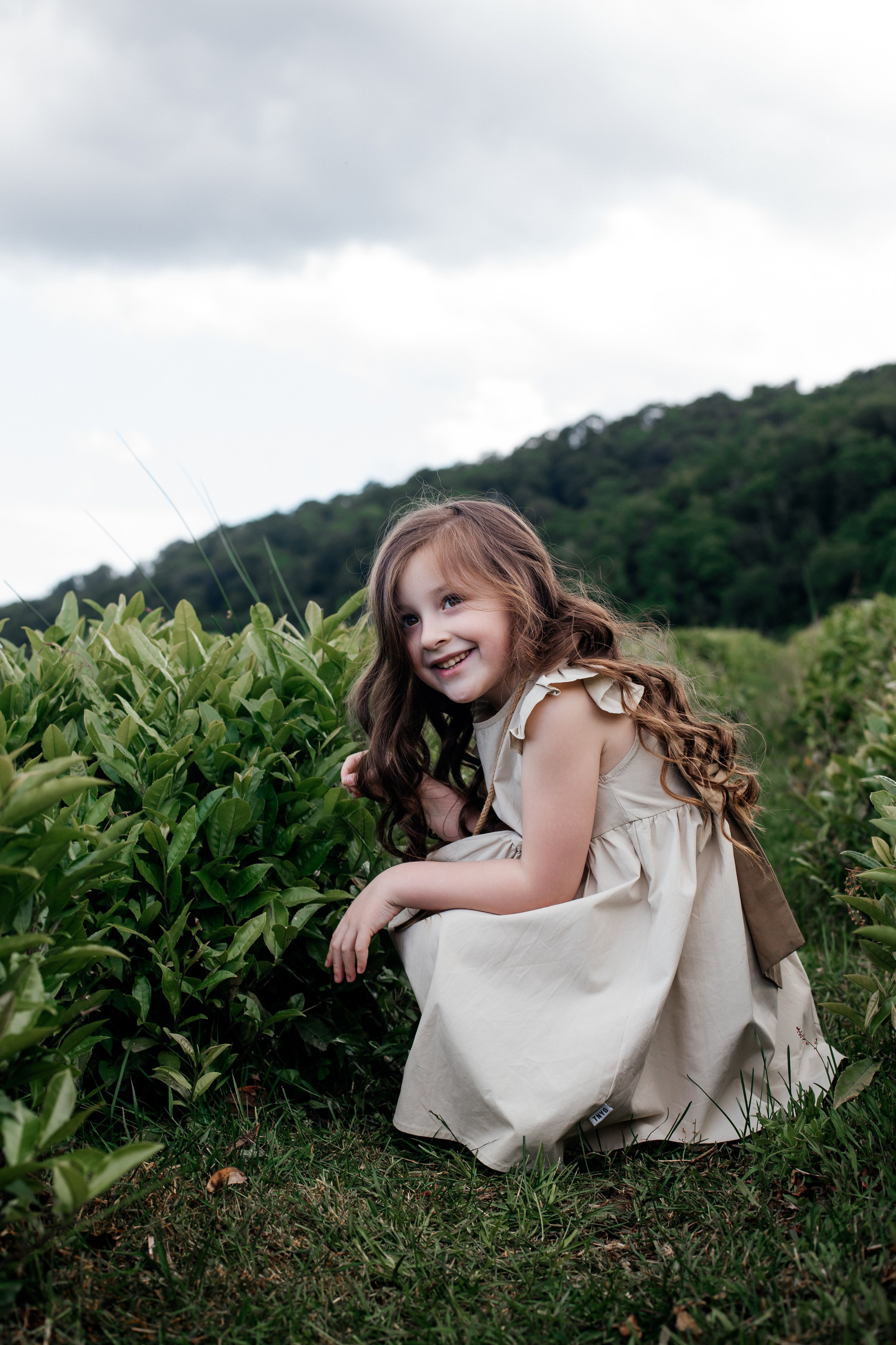 Tea plantation. Efimova Model Agency