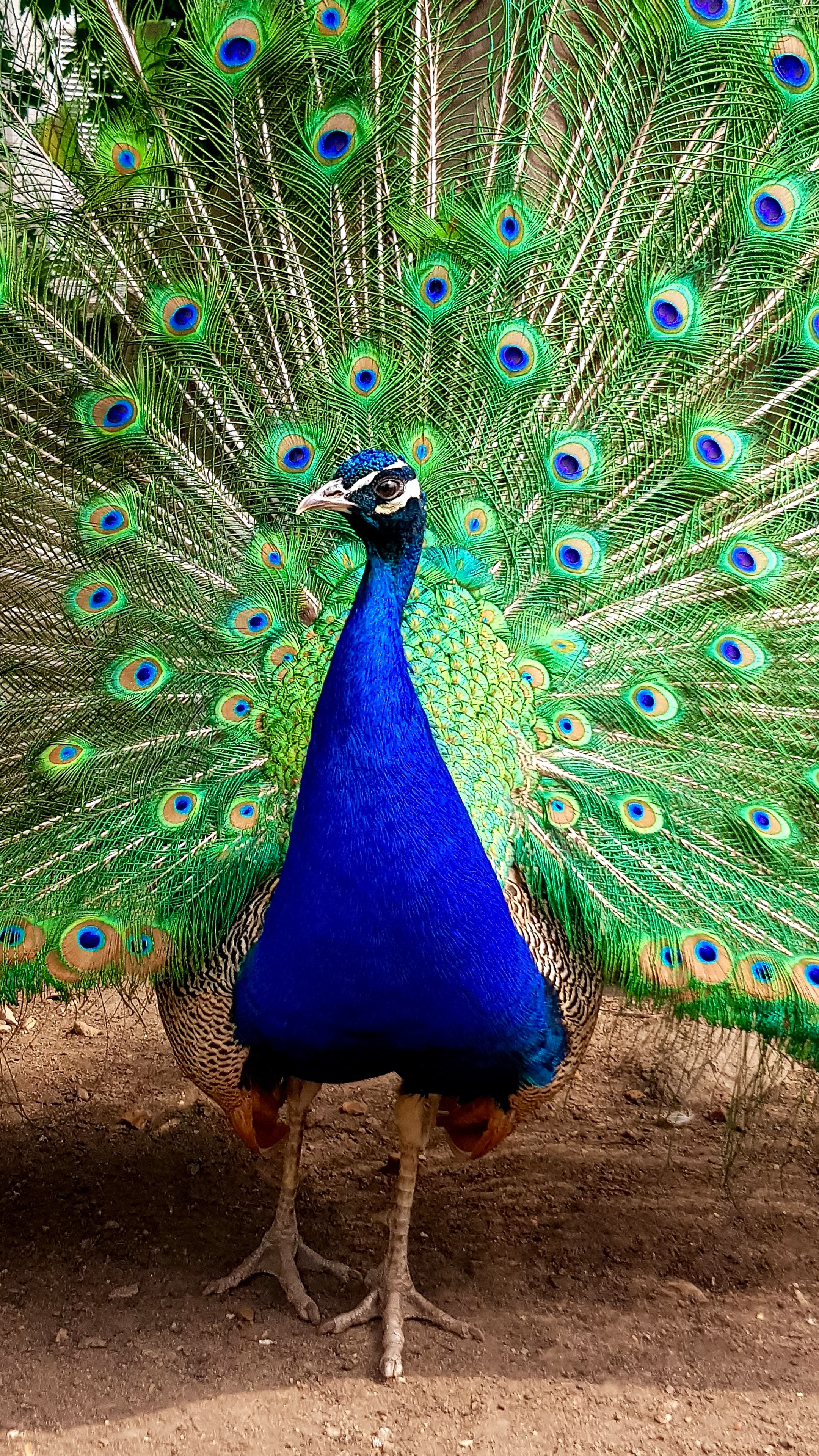 Пейзаж и городские съёмки. Семейный, уличный и пейзажный фотограф в Москве Никифоров Виктор