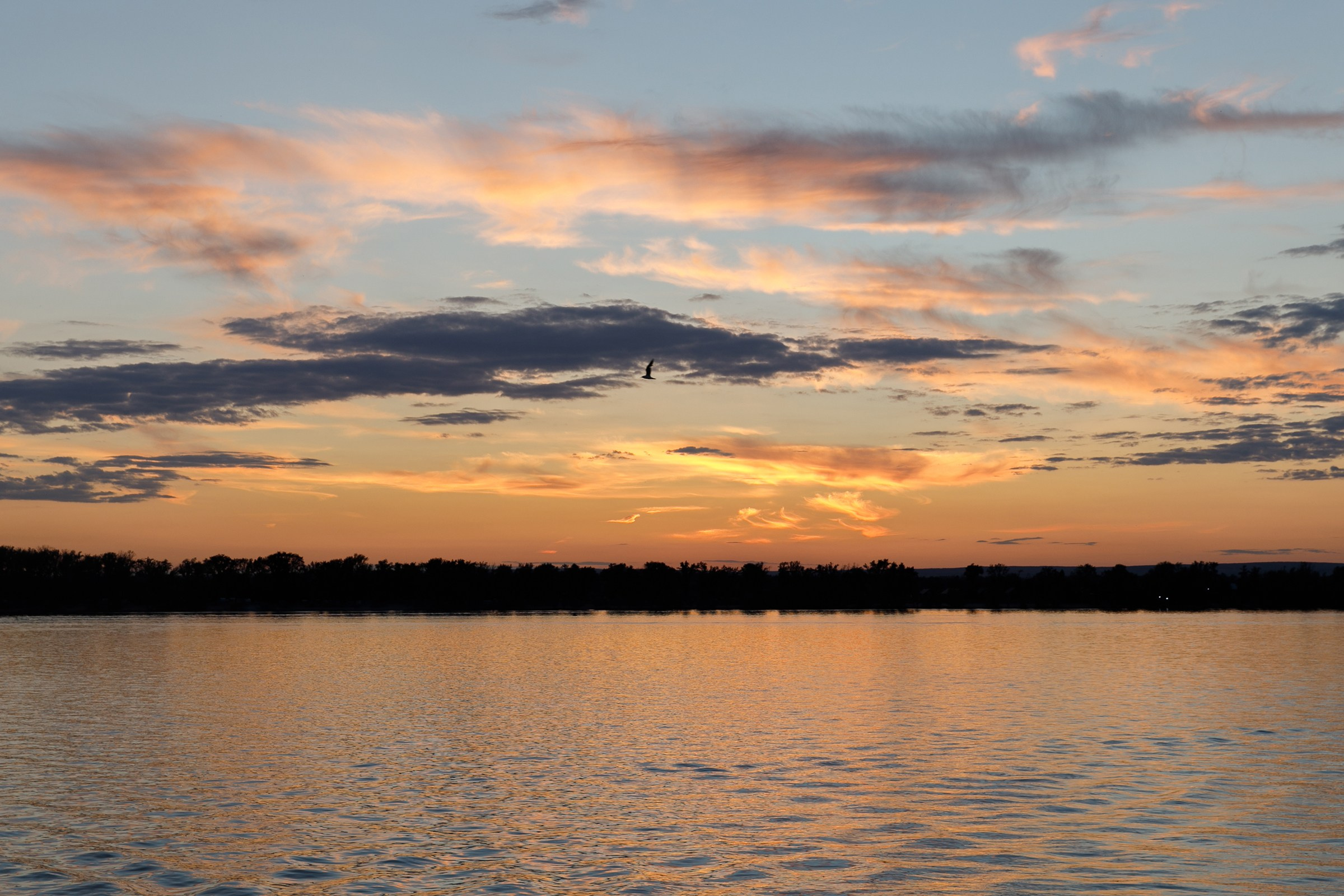 Выпускной банкет. Свадебный фотограф в Самаре и Тольятти Полина Никитина