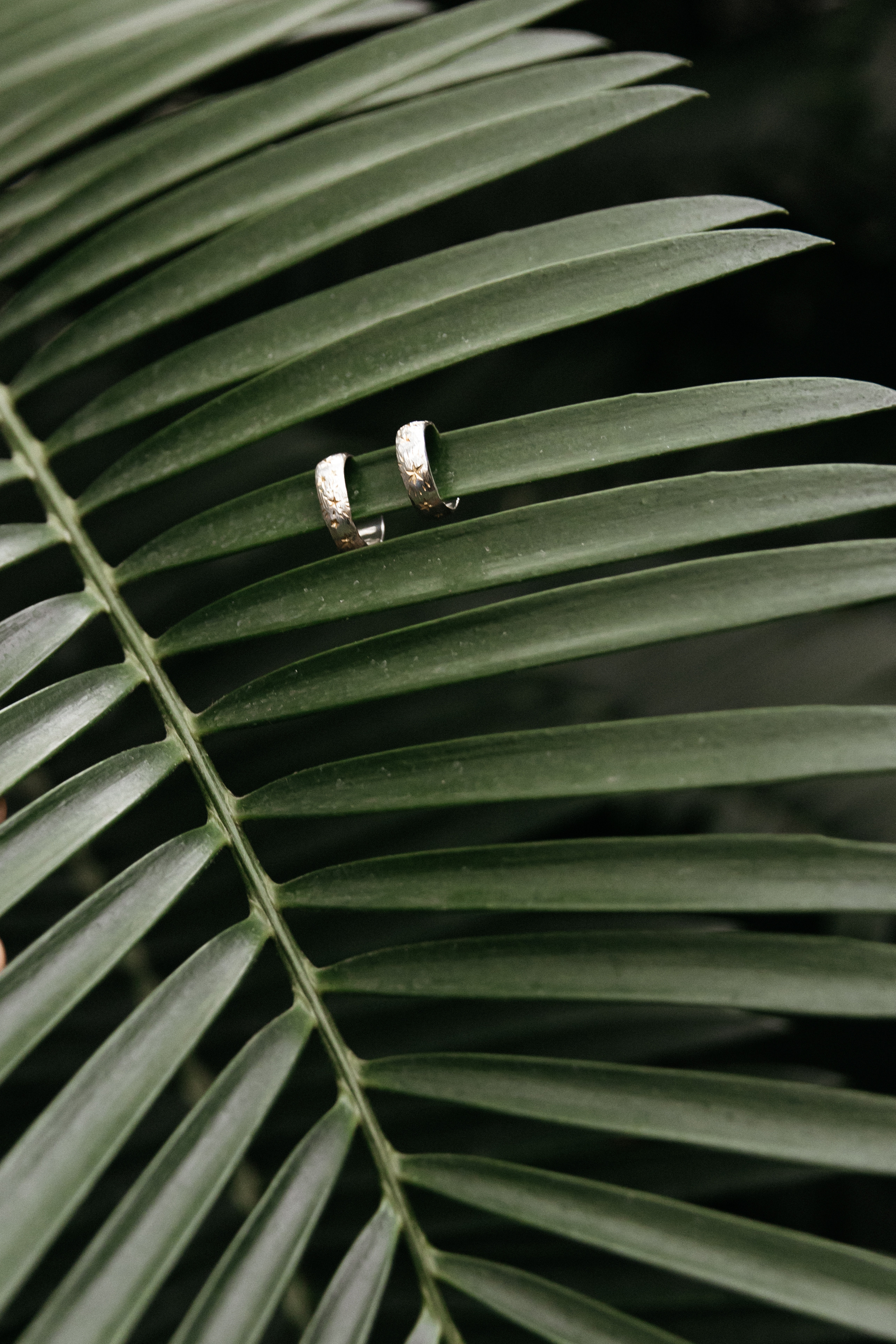 Саша и Настя. Свадебный и семейный фотограф в Москве Холда Тати
