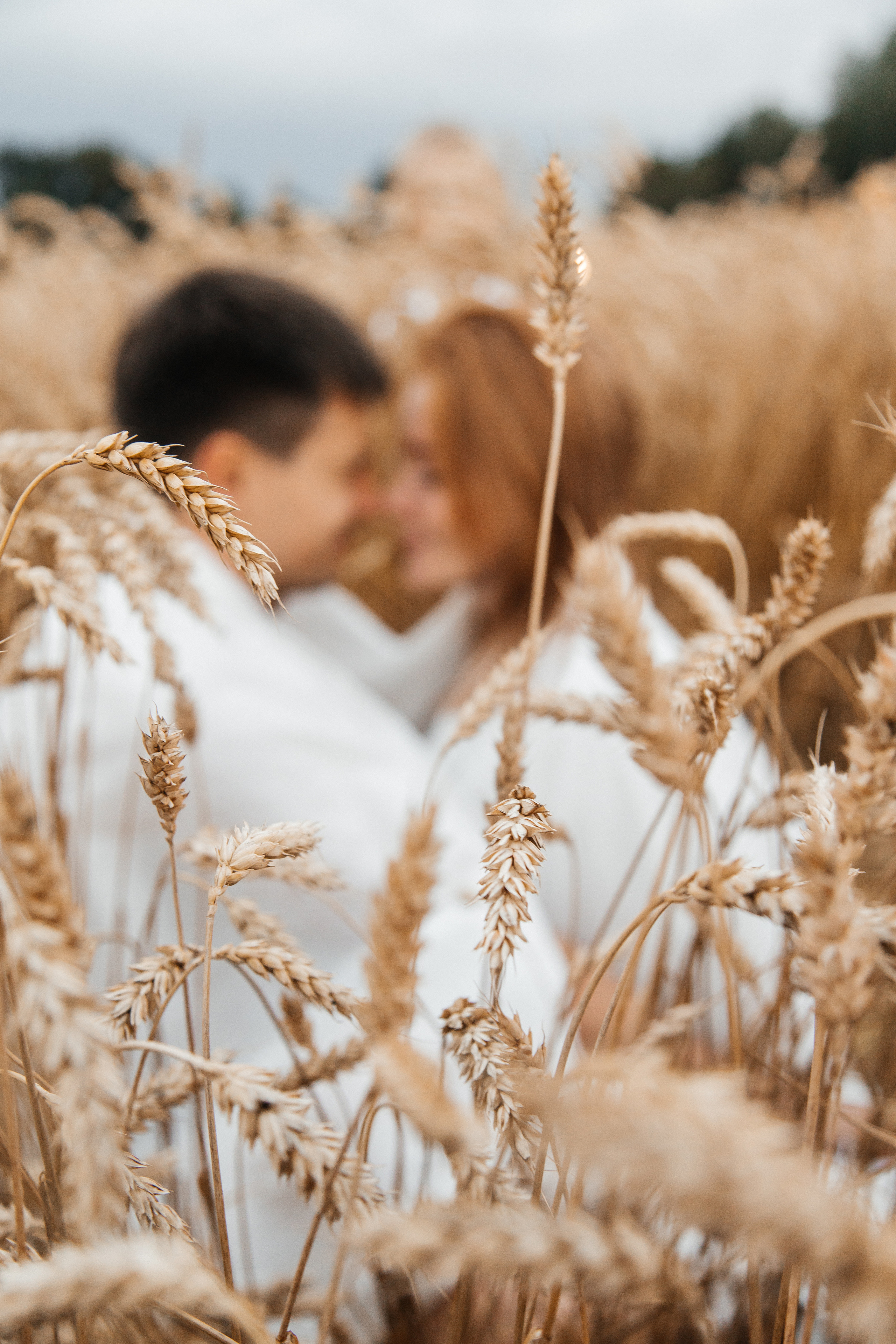 Семейная в поле. Свадебный и семейный фотограф в Москве Холда Тати