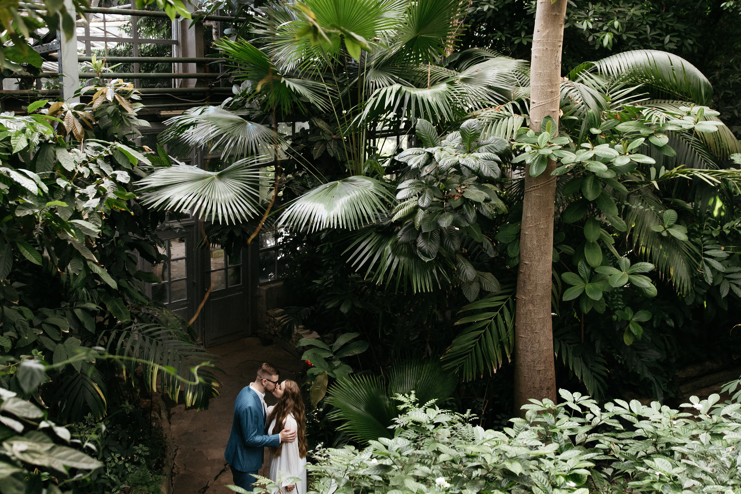 Свадебная фотосессия в Оранжереи Ботанического сада им Цицина. Свадебный и семейный фотограф в Москве Холда Тати