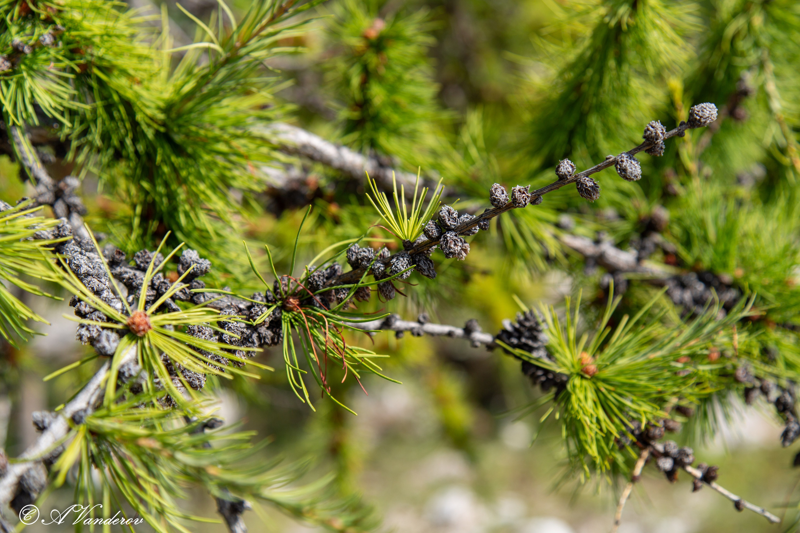 Мраморный карьер. Фотограф Омск | Александр Вандеров