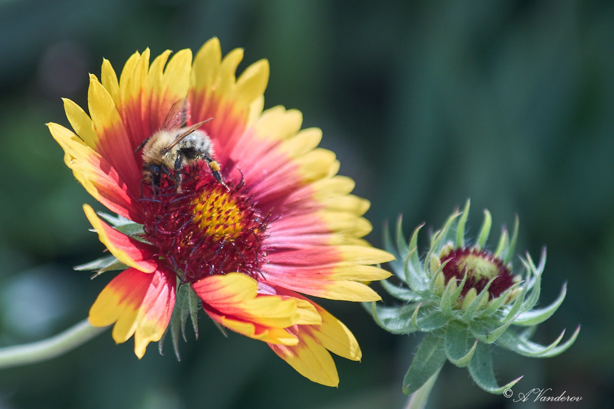 Село Савкино Баганского района Новосибирской области. Фотограф Омск | Александр Вандеров