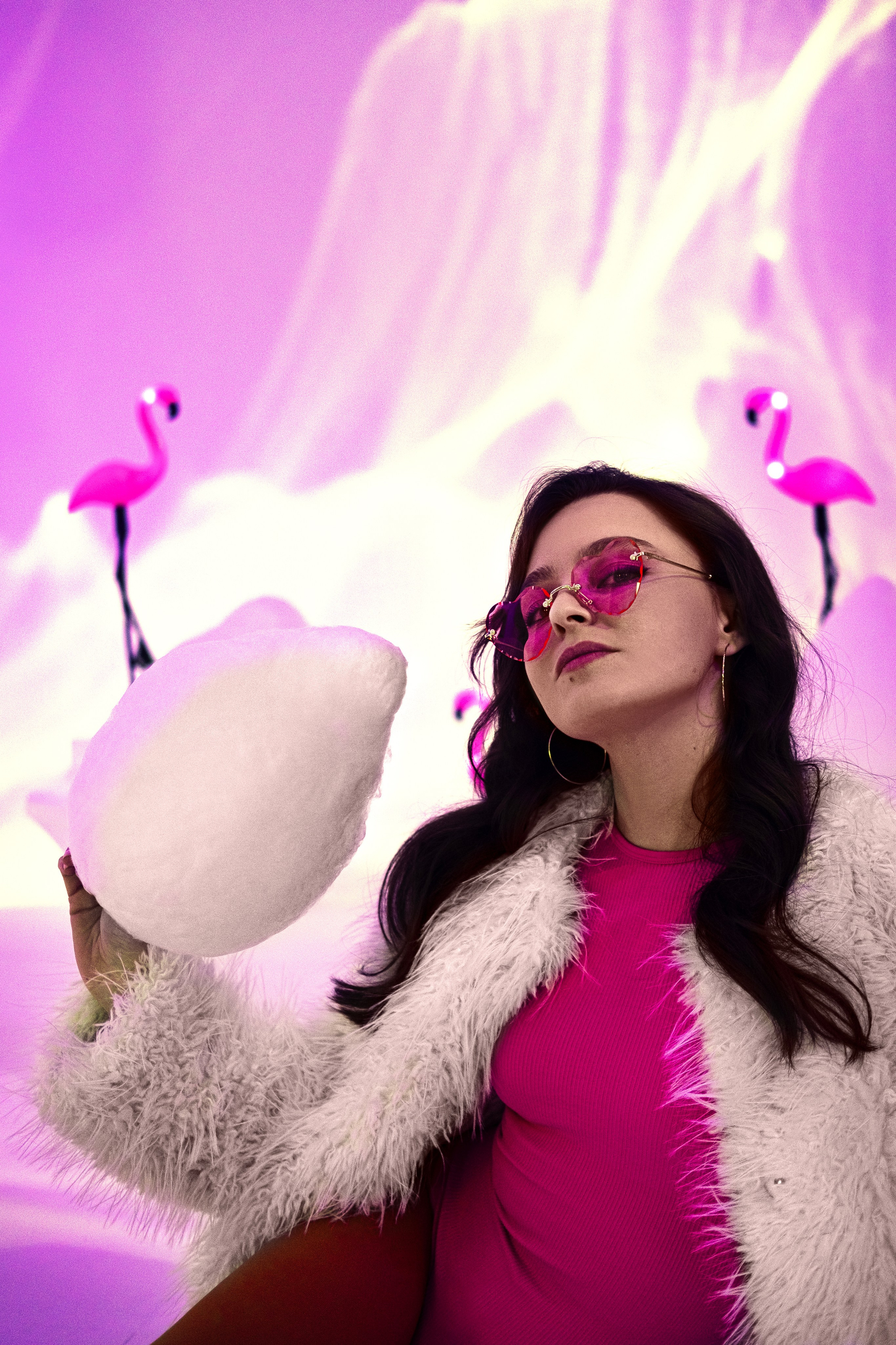 Розовый фламинго. Лиза Рязанцева