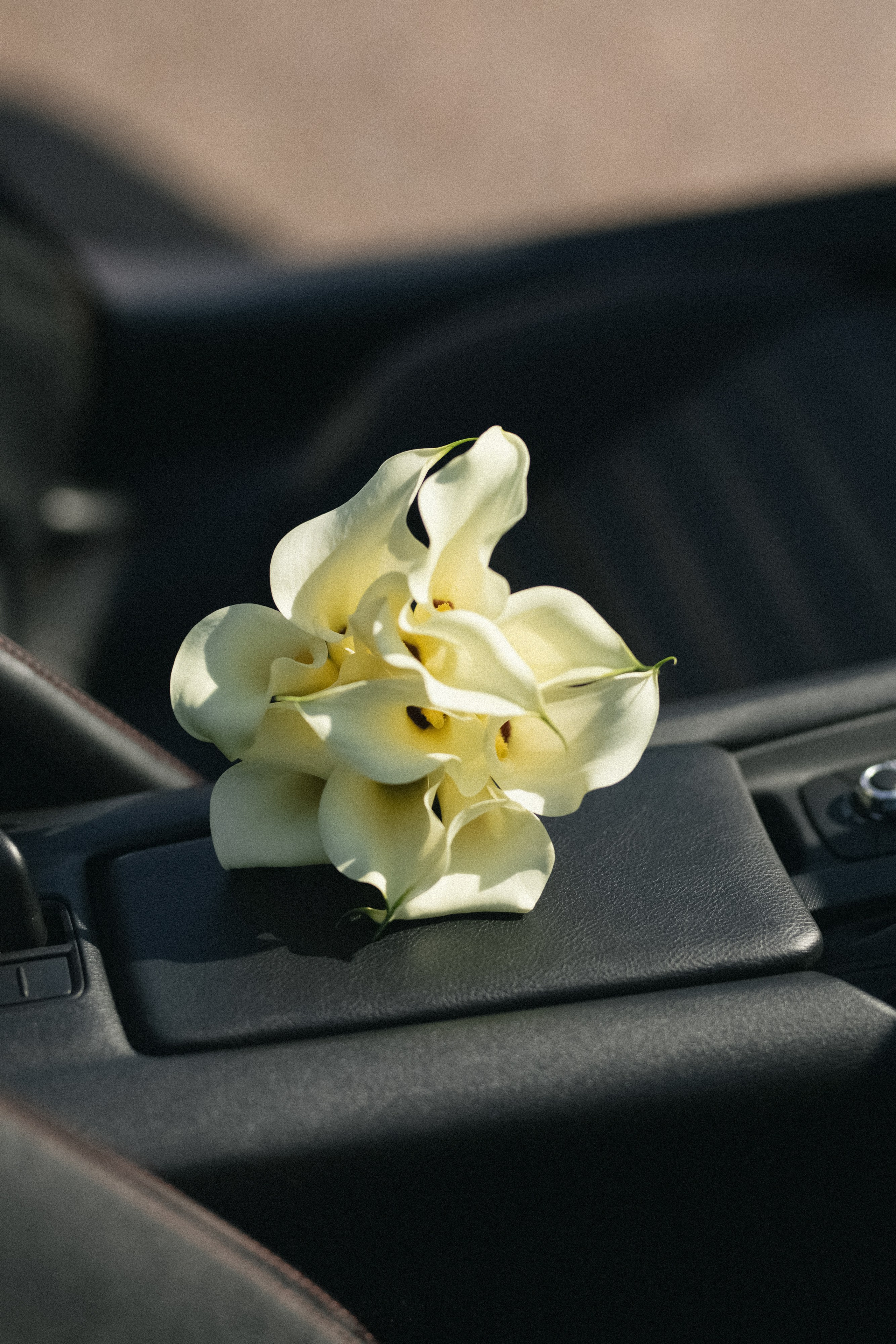 АНАСТАСИЯ & ДМИТРИЙ ` 05.07.25. Maria Startseva Photo