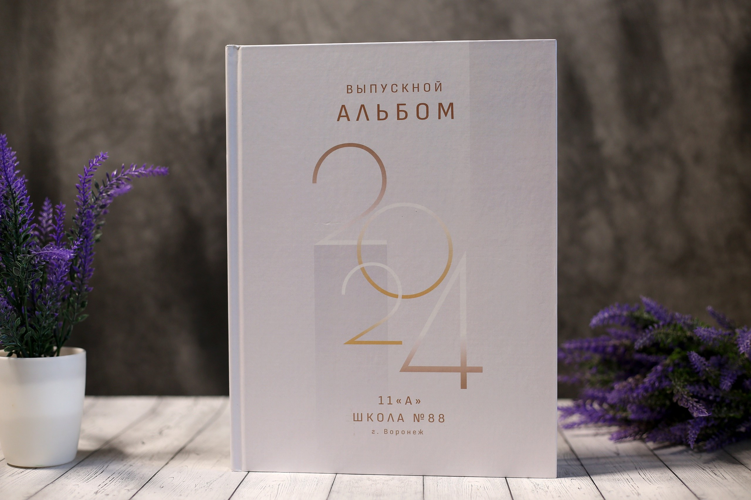 Варианты обложек. Выпускные альбомы Воронеж от Веры Соколовой